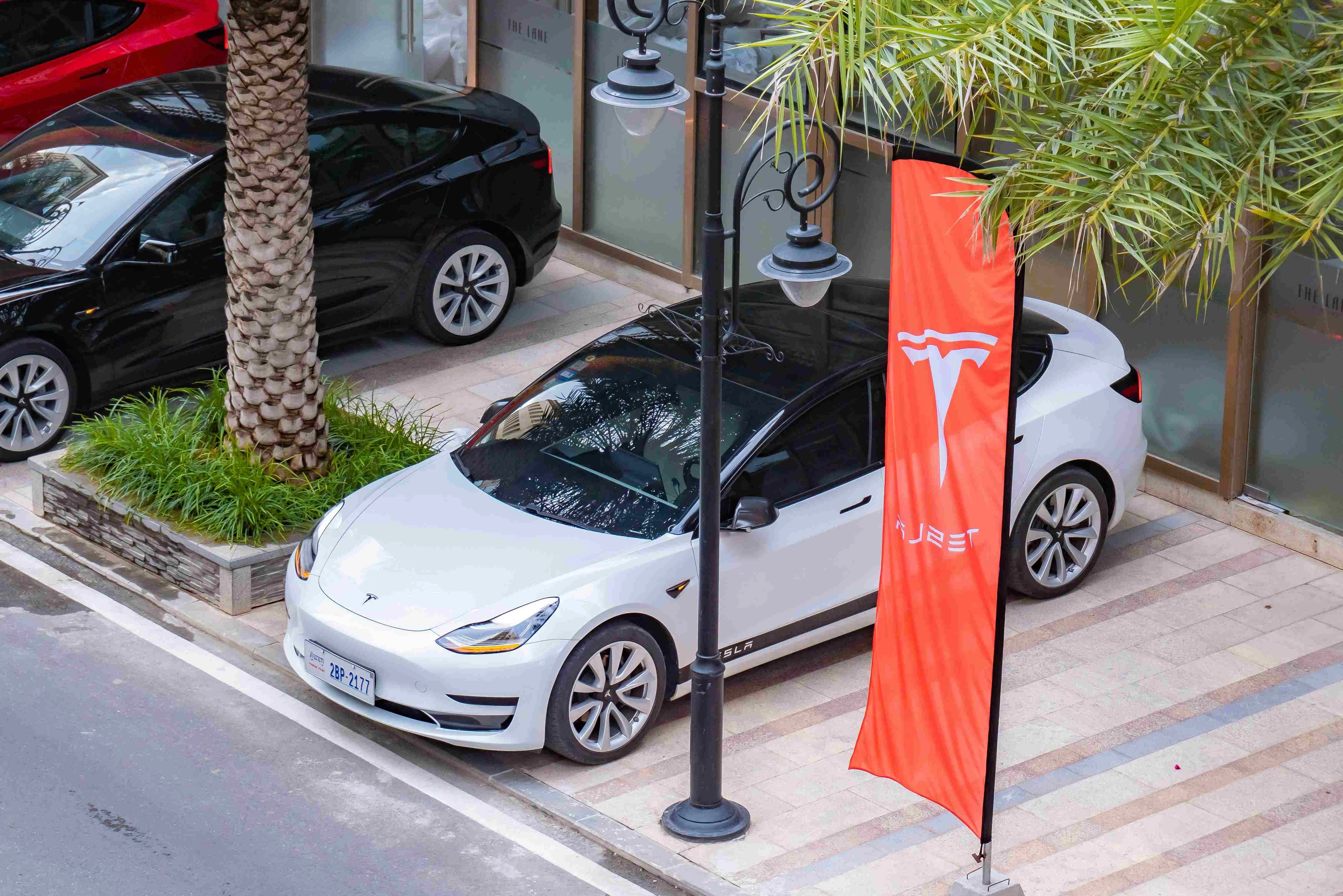 Colorblock Design Tesla Tesla Showcase Color Palette, Combinations & Schemes | Octet Design Labs