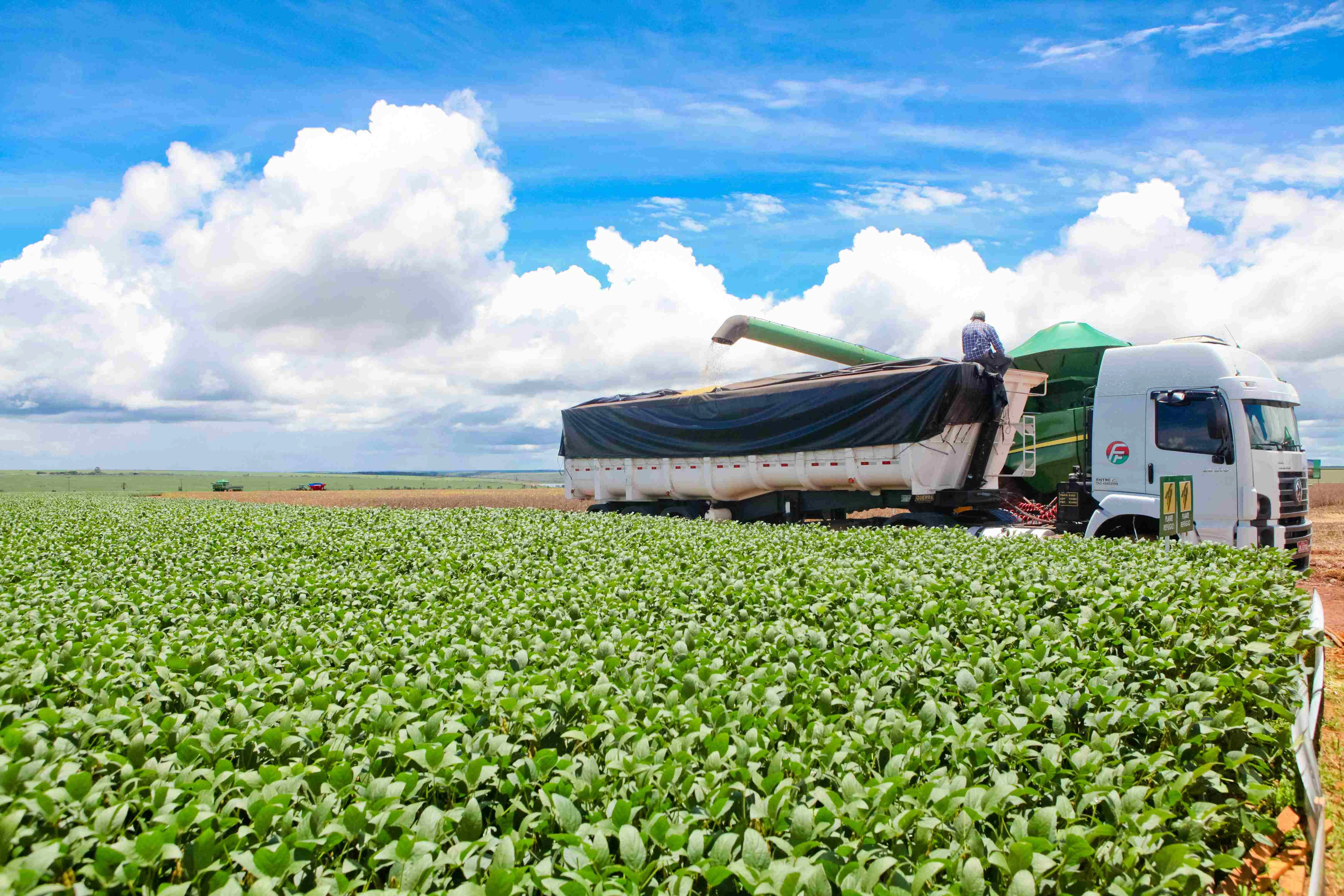 Agricultural Harvest in Progress