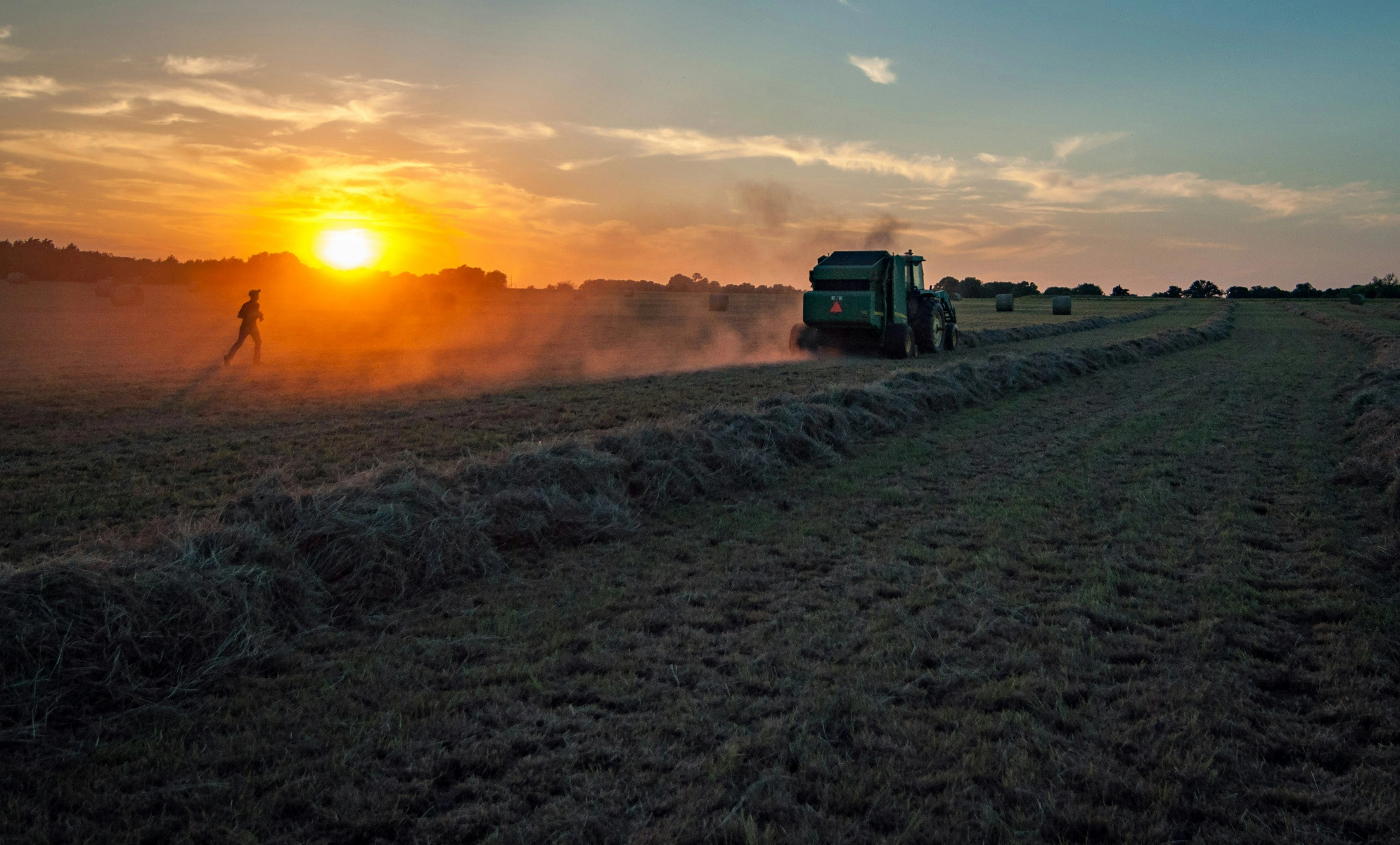 Sunset Harvest on Farm