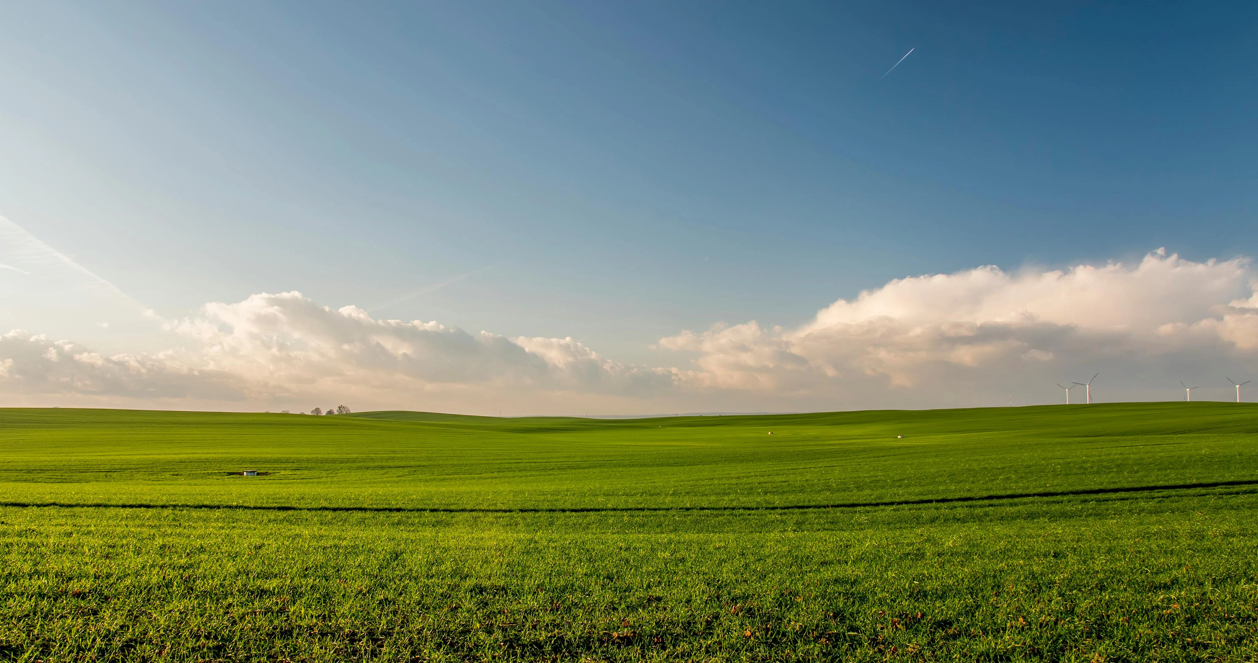 Verdant Fields and Windmills