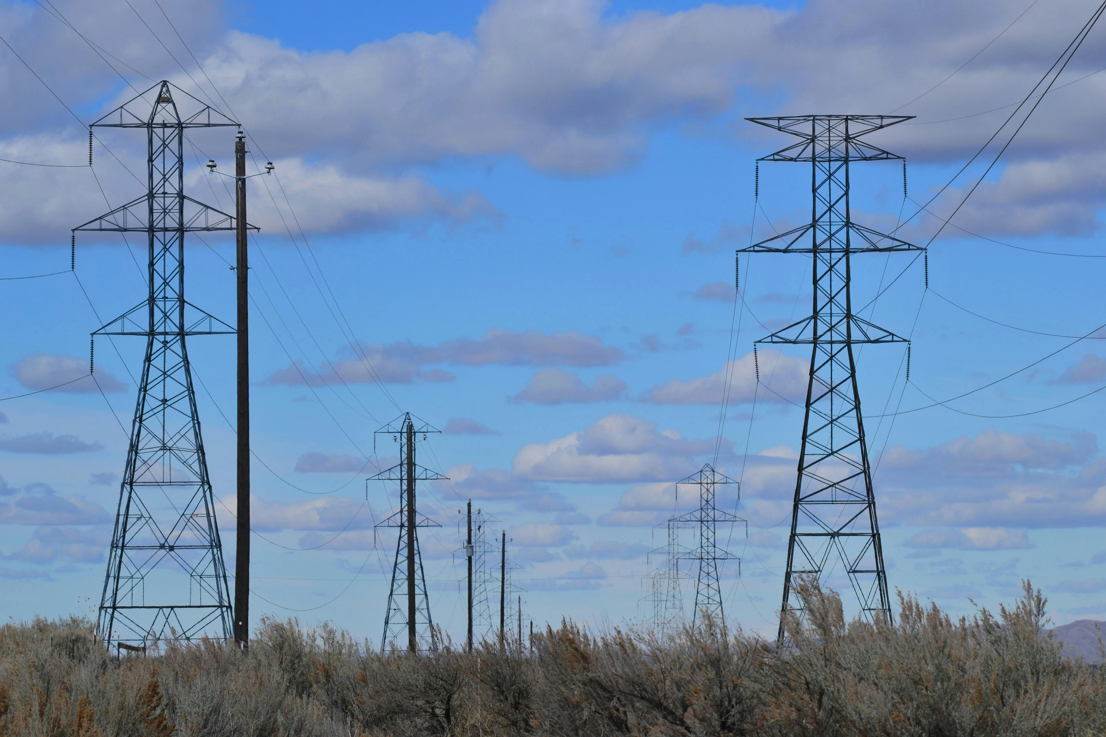 Power Lines Color Palette, Combinations & Schemes | Octet Design Labs