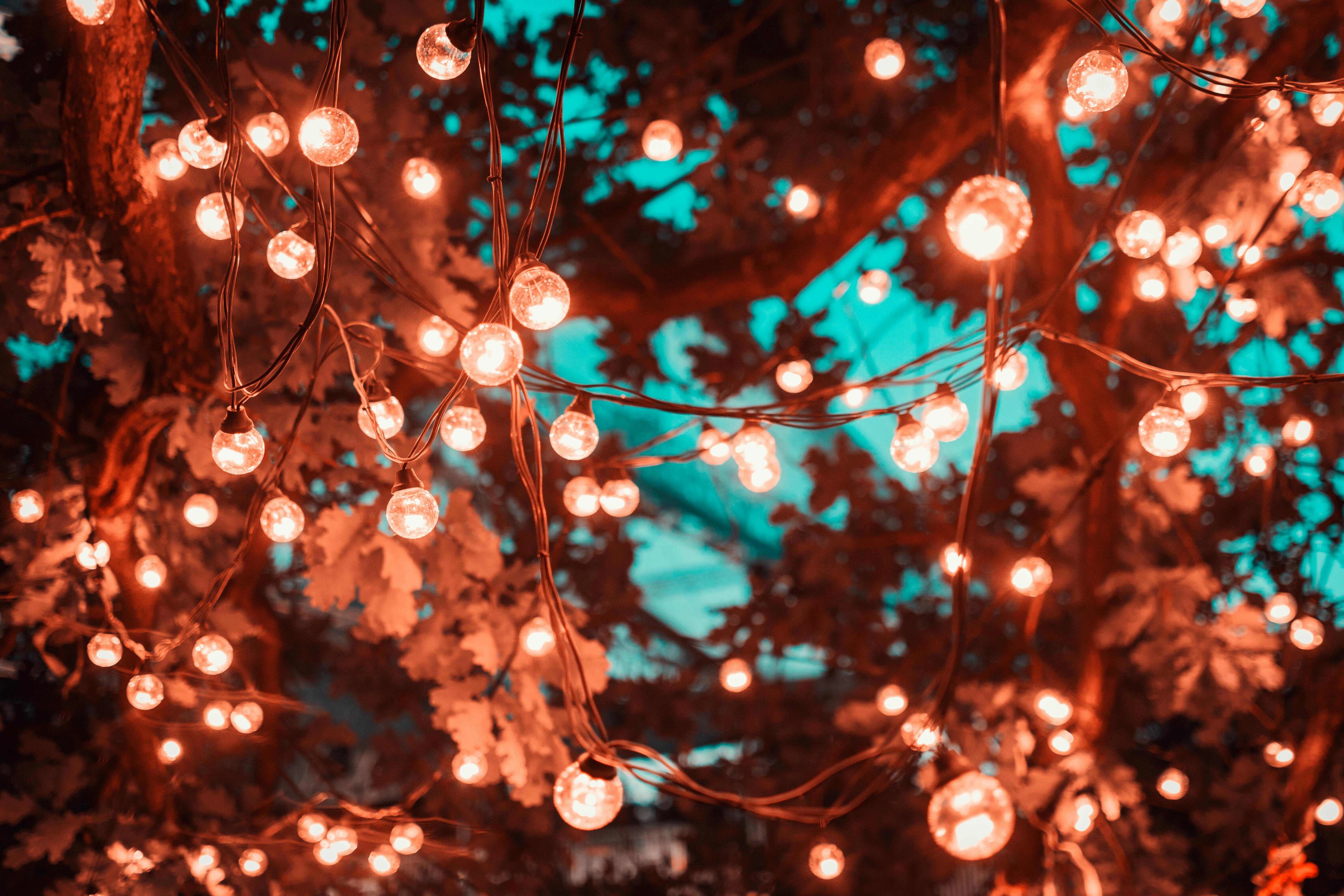 Enchanting Fairy Light Canopy