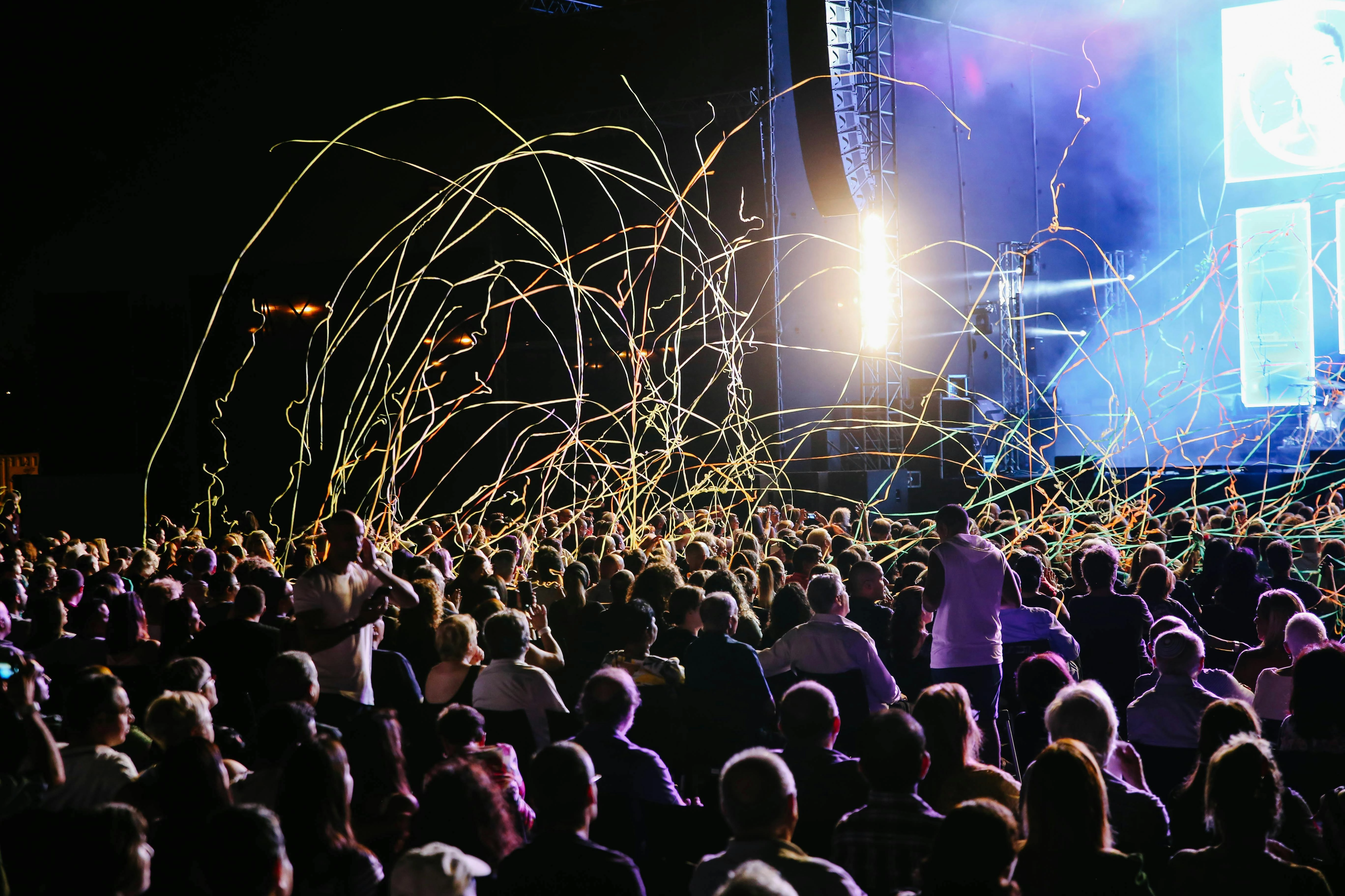 Concert Crowd Color Palette, Combinations & Schemes | Octet Design Labs