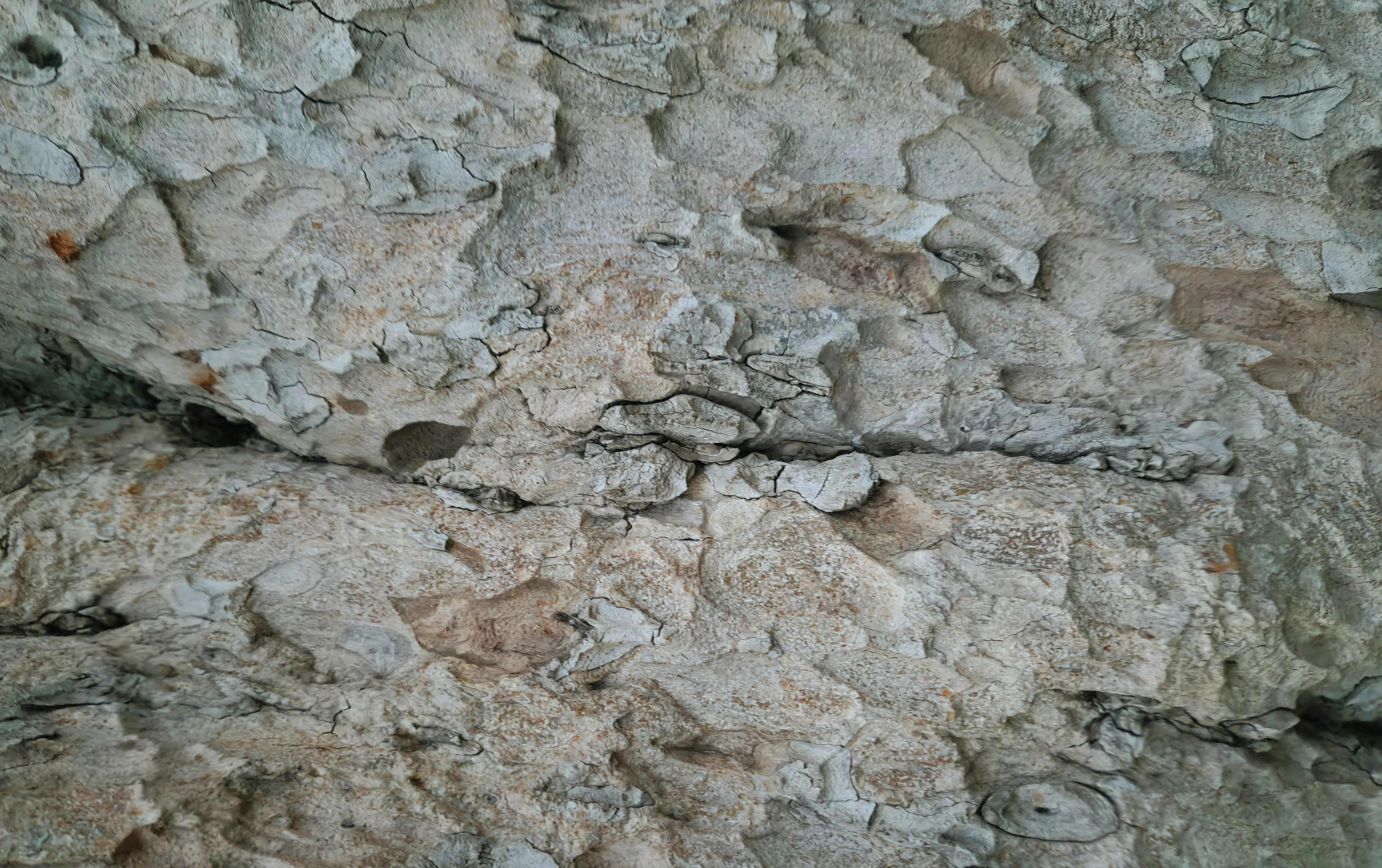 Cracked Ancient Stone Surface Cracked Ancient Stone Surface