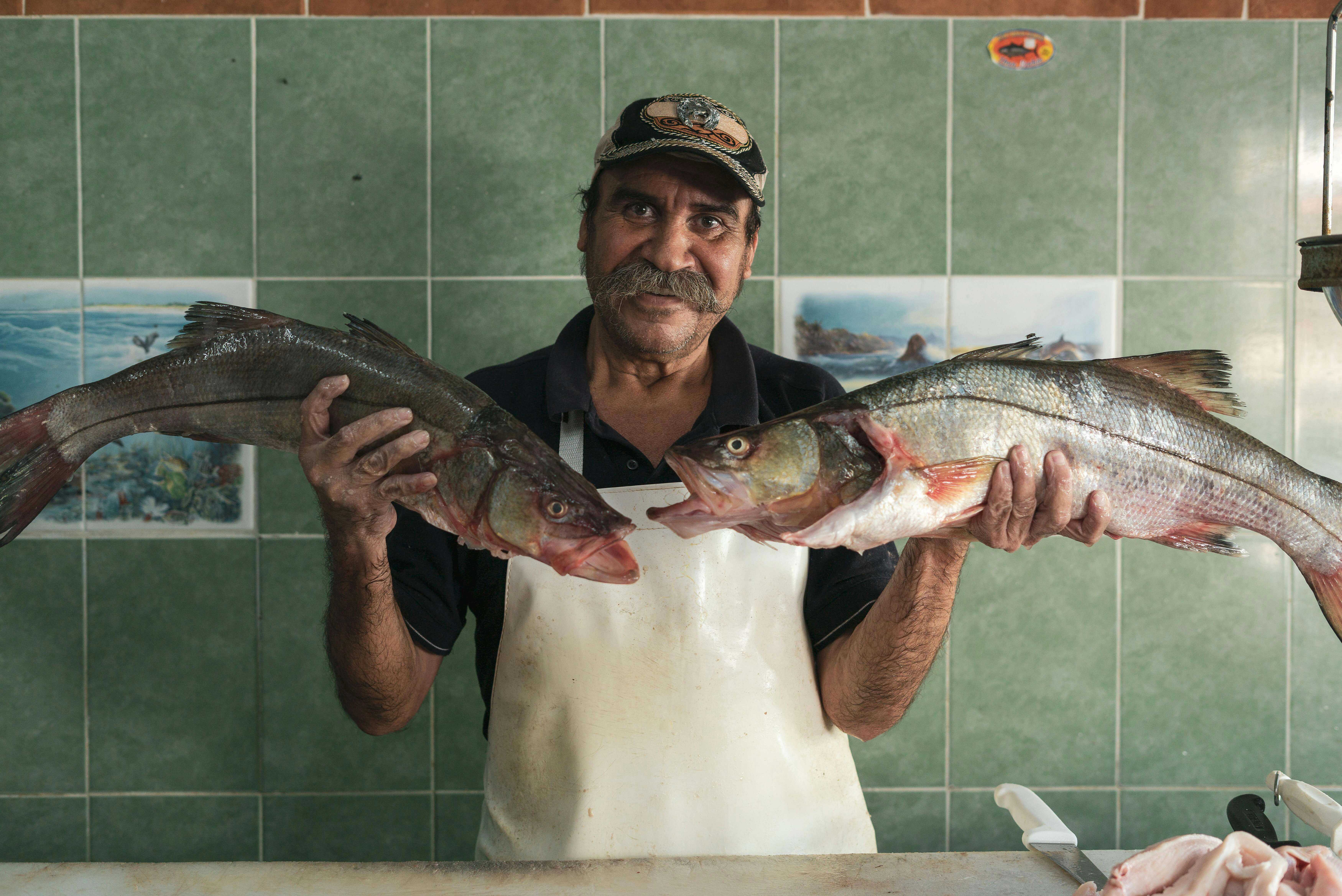 Fishmonger displaying fresh catch Fishmonger displaying fresh catch