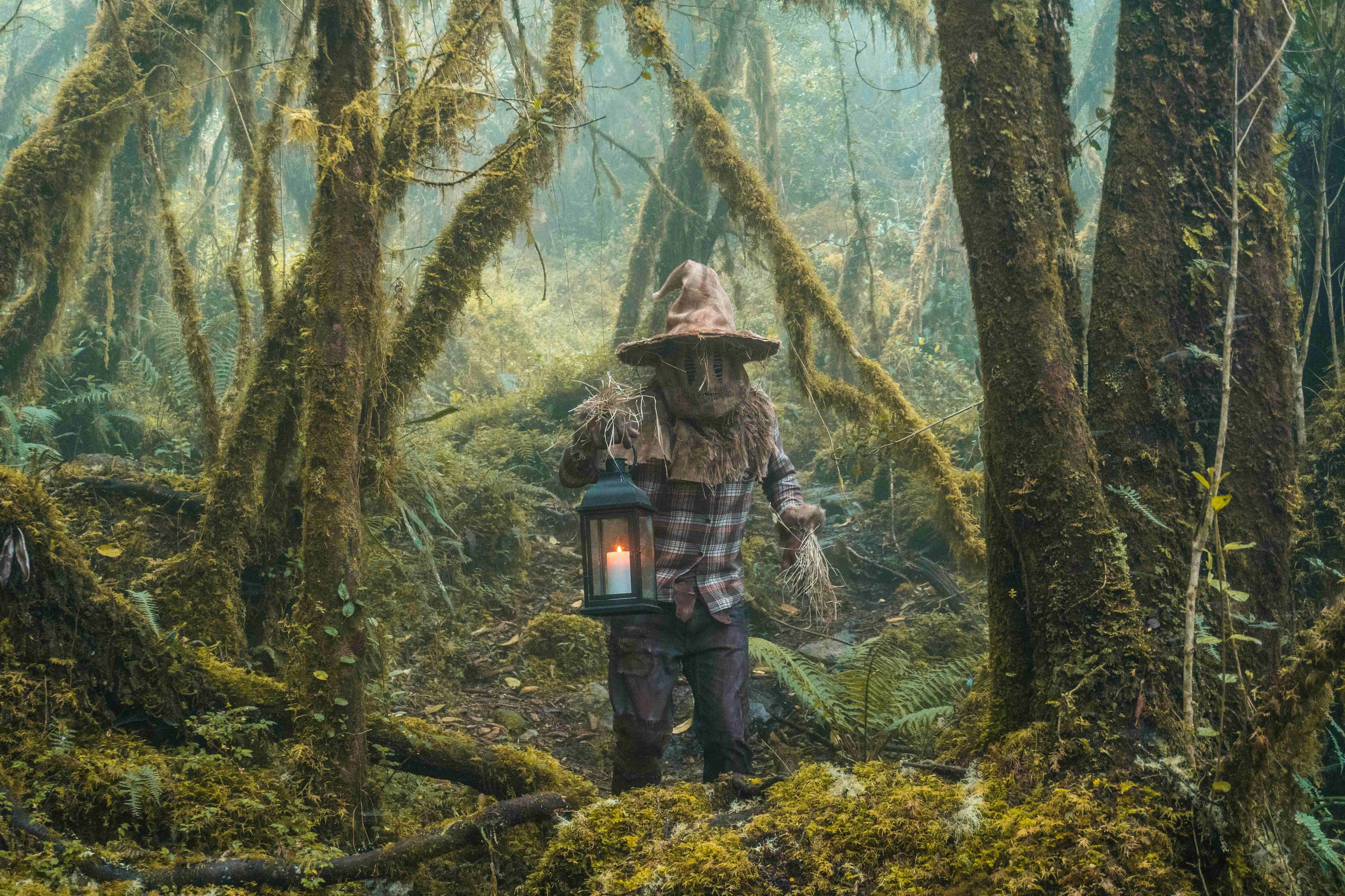 Mystical Forest Lantern Bearer Mystical Forest Lantern Bearer