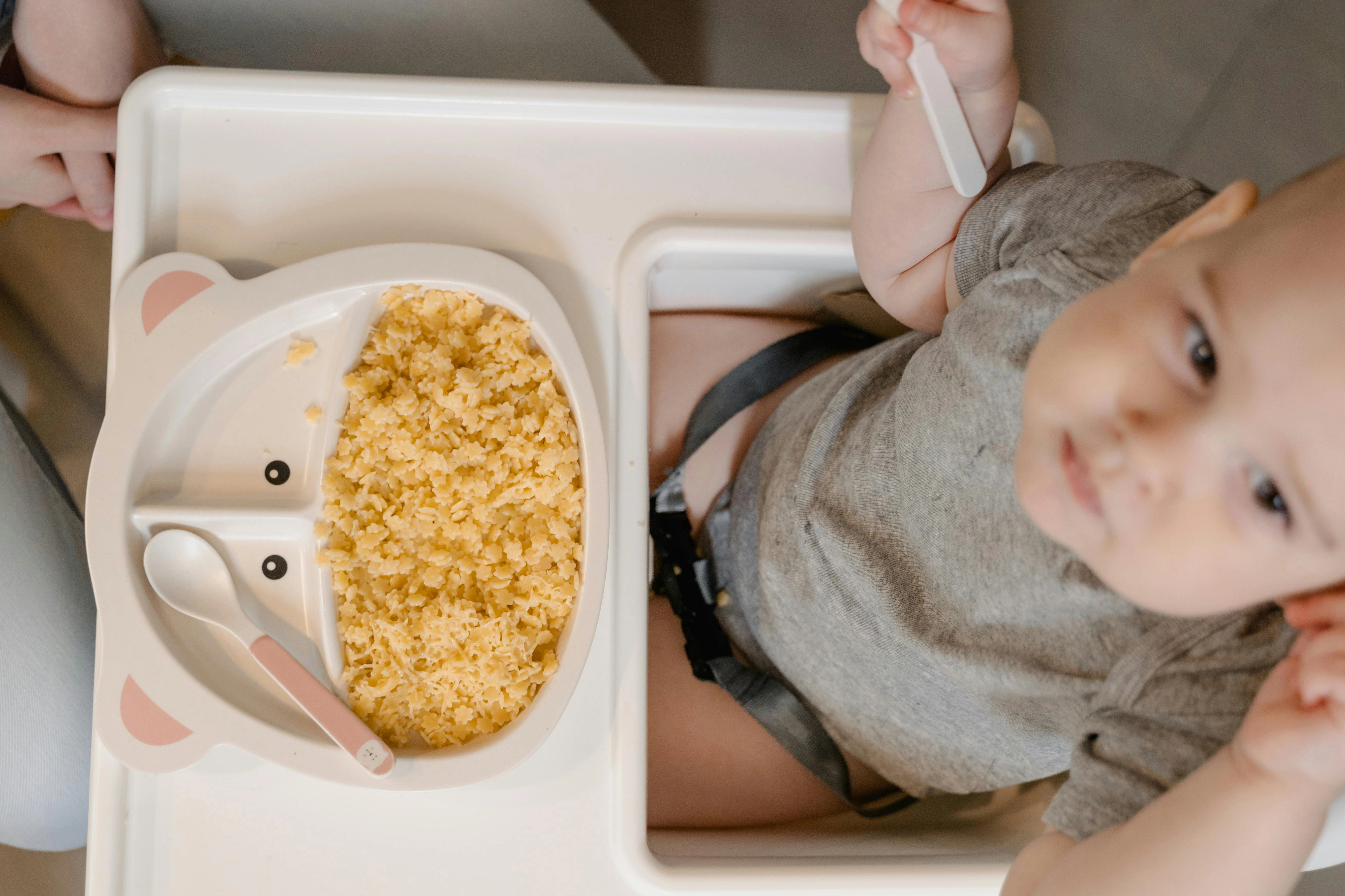 Baby's Rice Dish Moment Baby's Rice Dish Moment