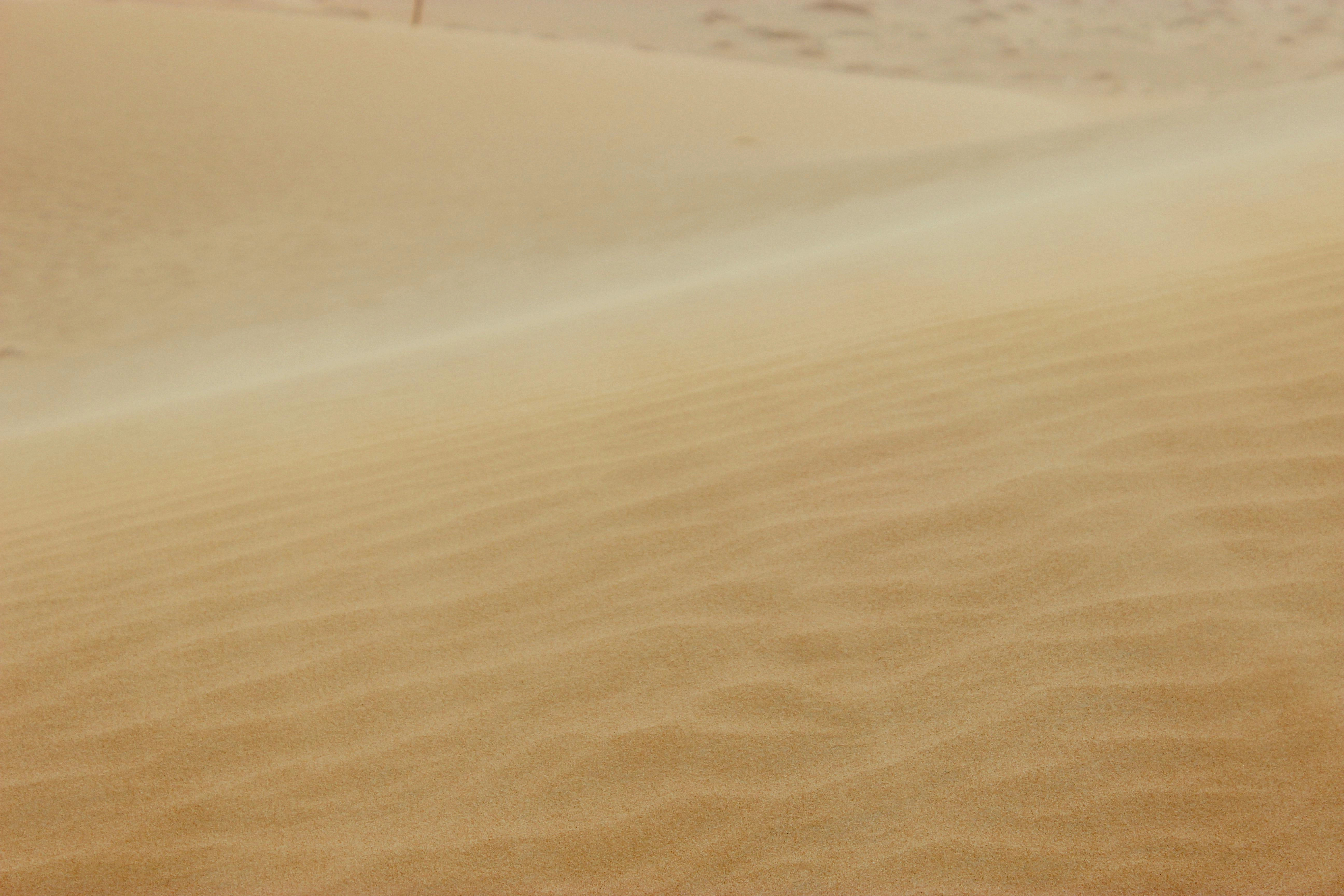 Windswept Desert Sand Dunes