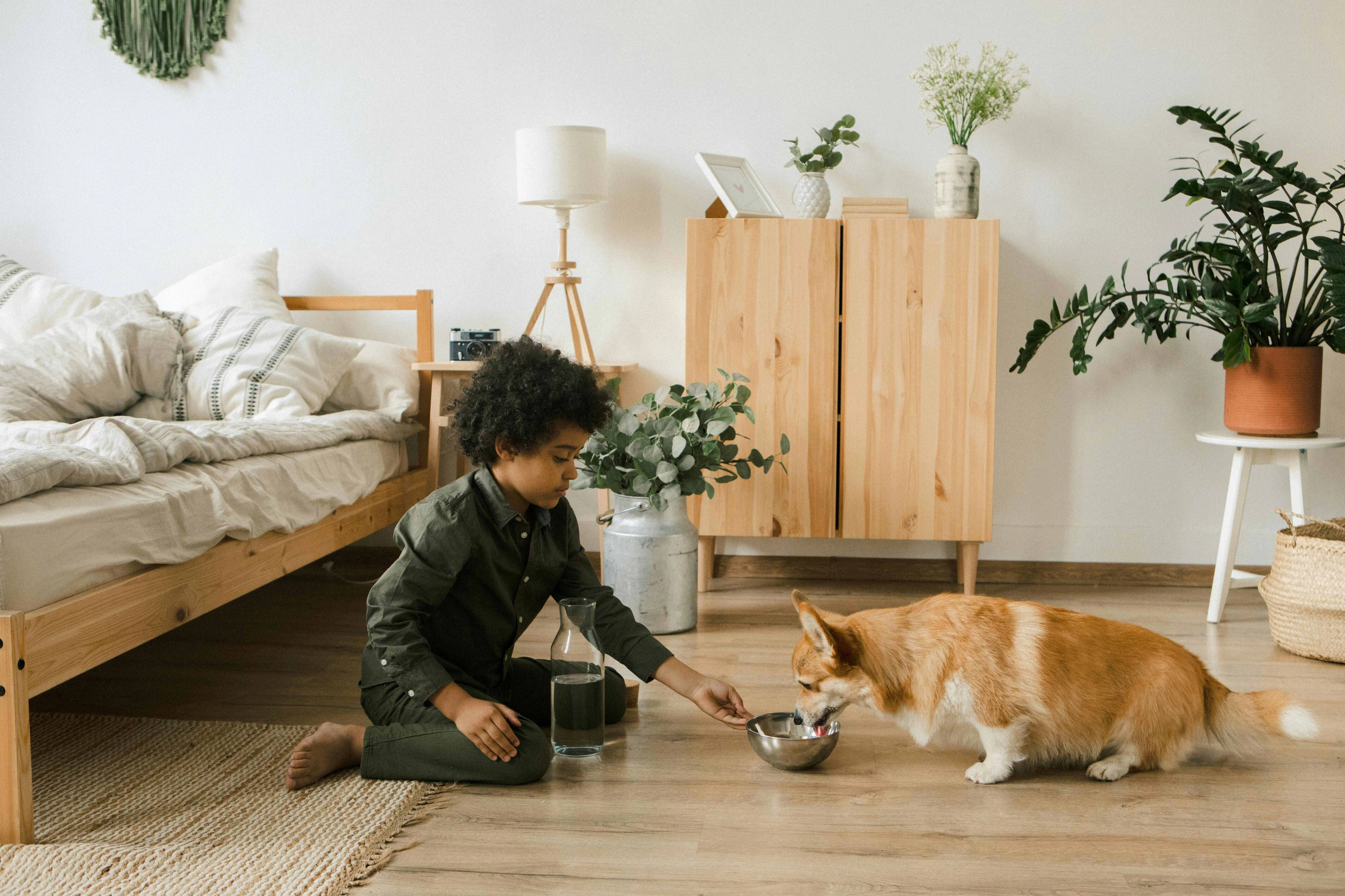 Cozy Home with Corgi