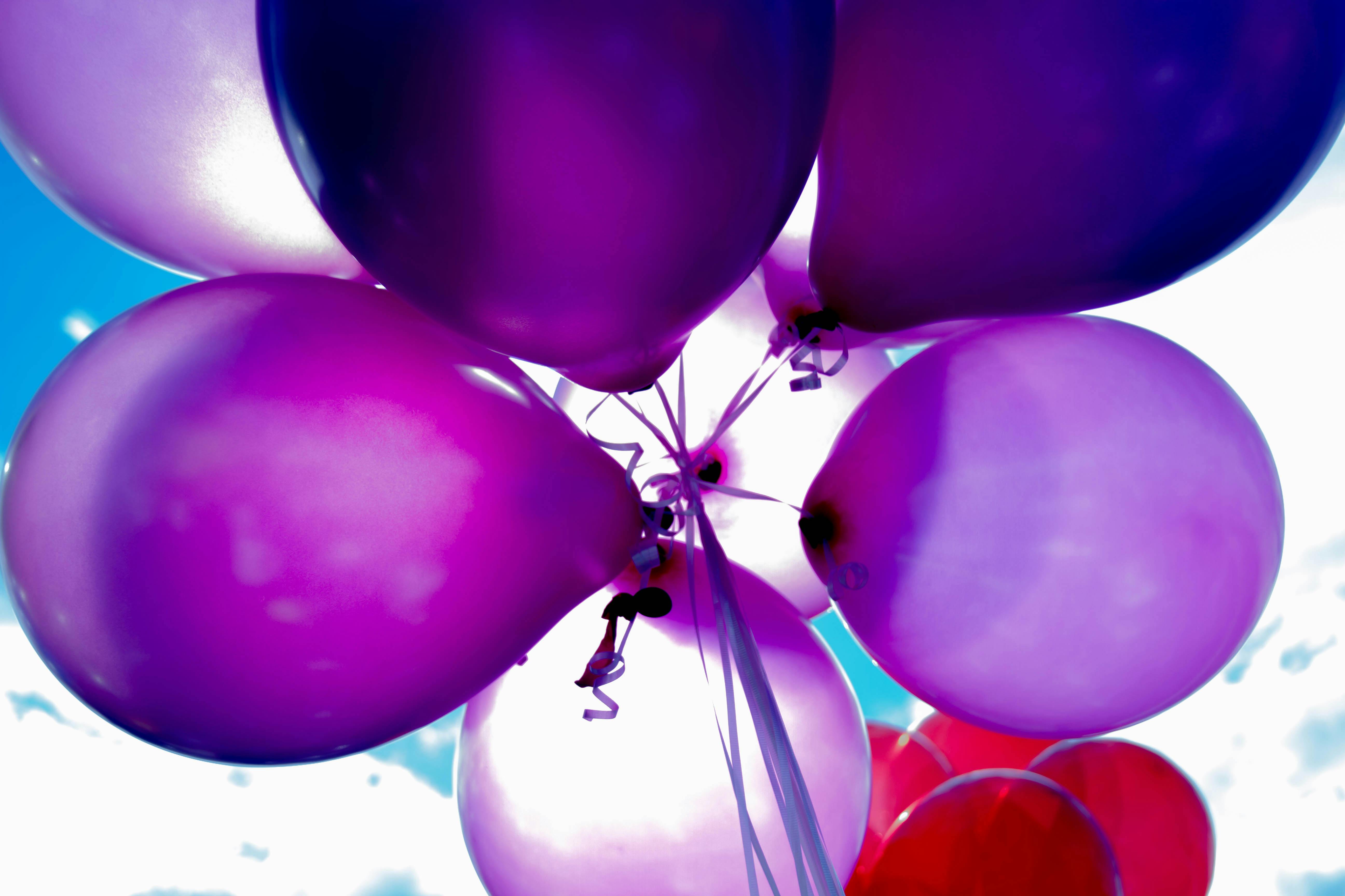 Vibrant Purple Party Balloons Vibrant Purple Party Balloons