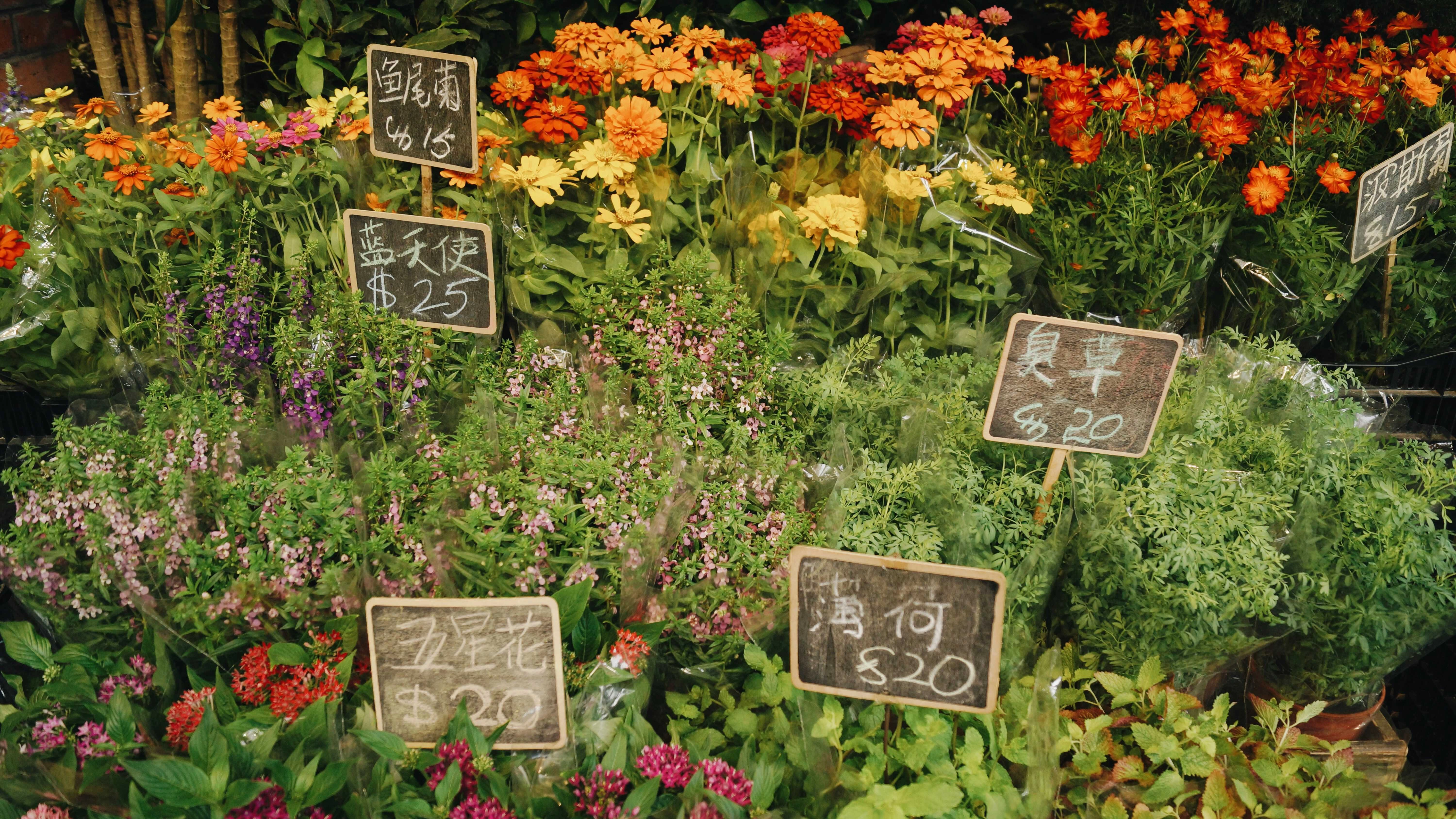 Colorful Flower Market Display