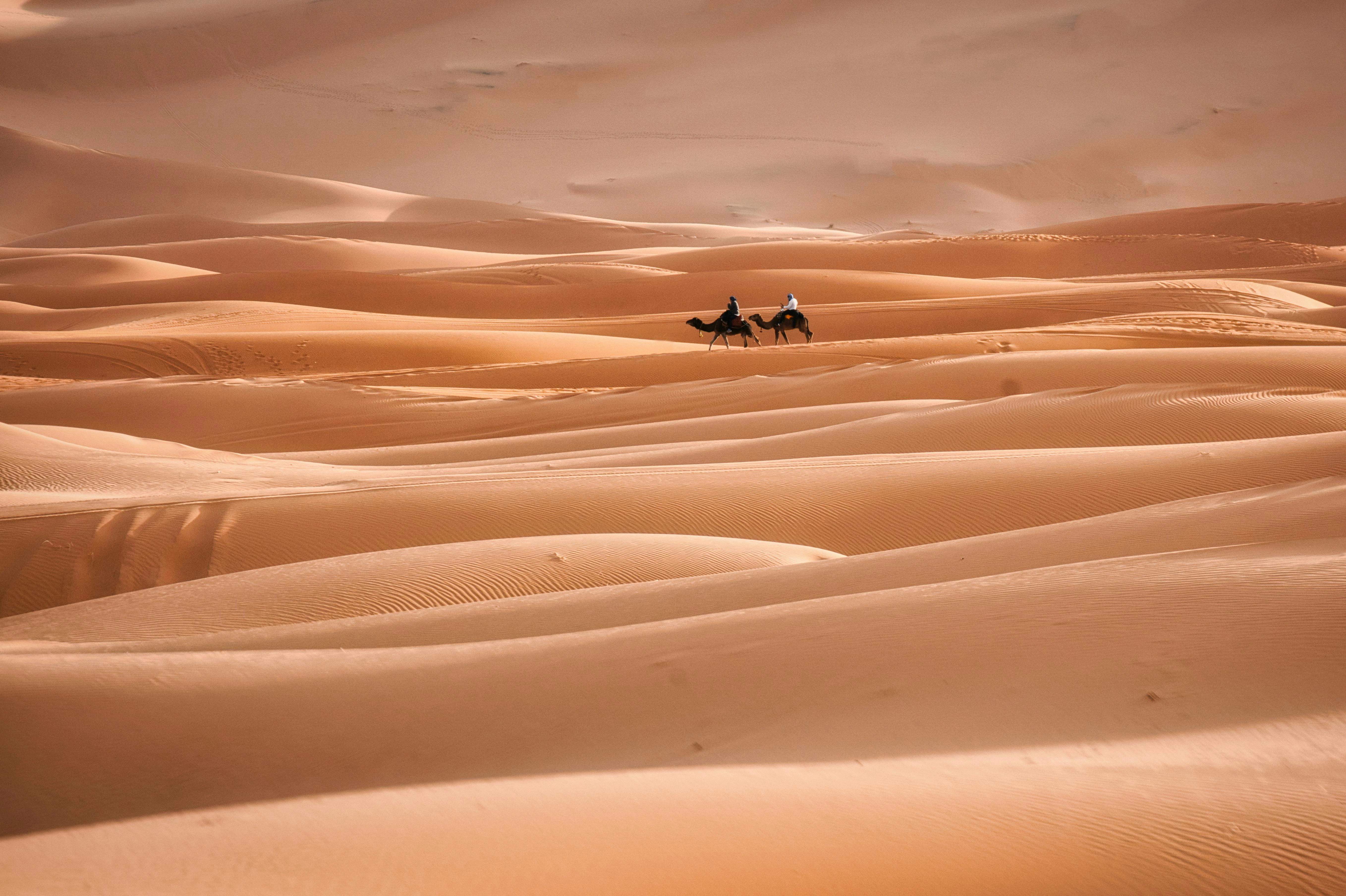 Desert Camel Trek Journey
