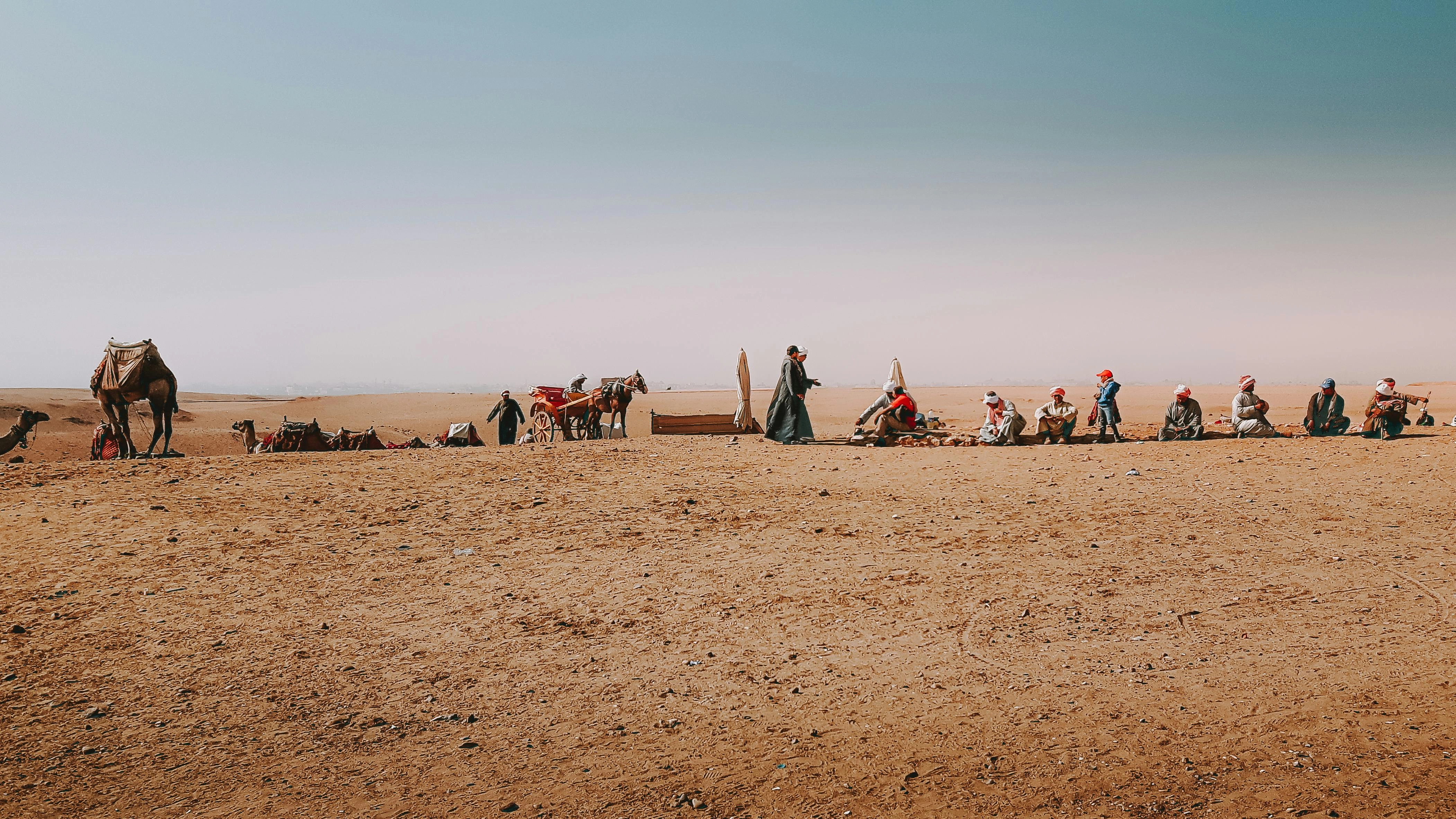 Desert Caravan Resting Scene