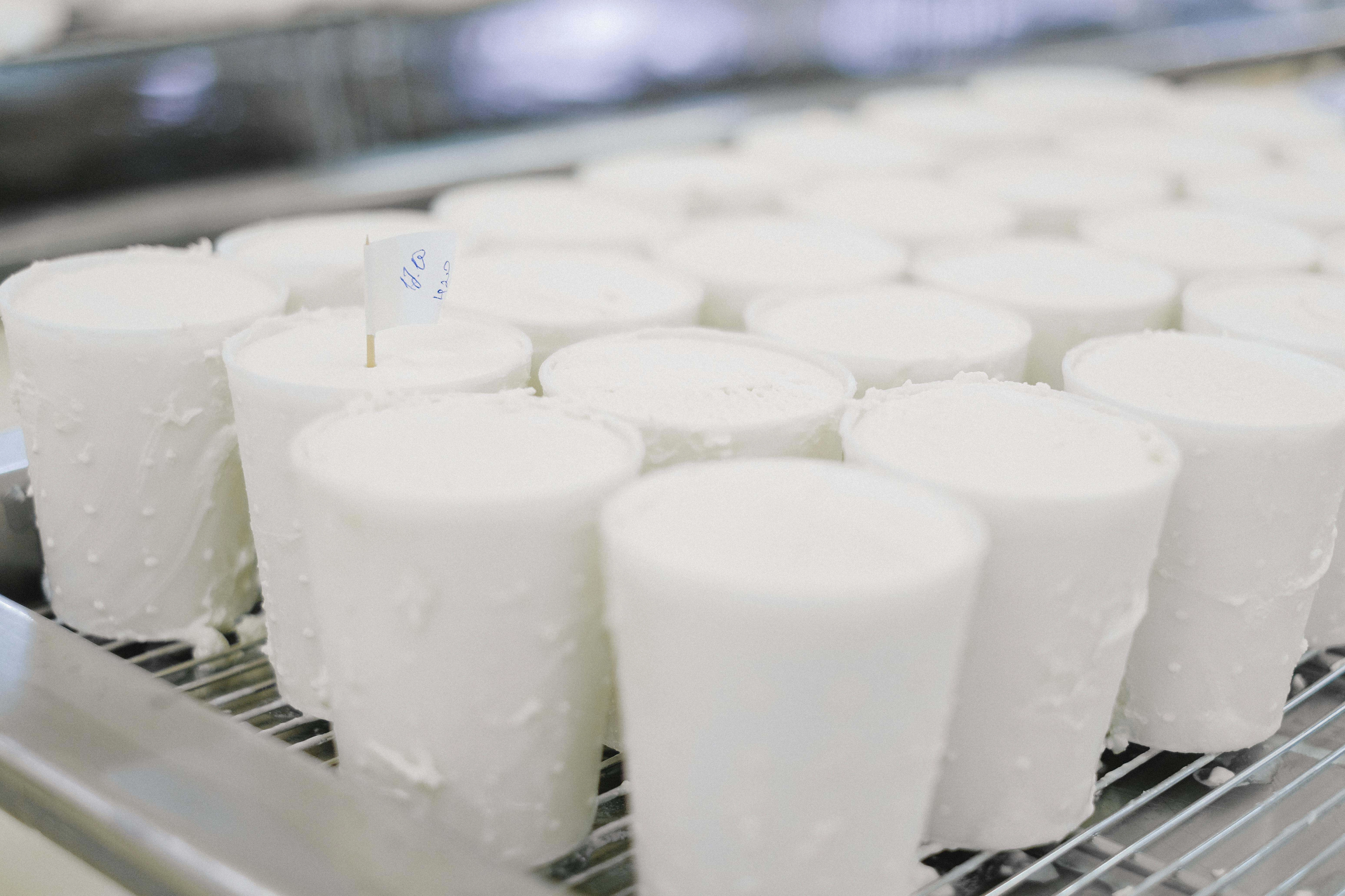 Fresh cheese wheels aging Fresh cheese wheels aging