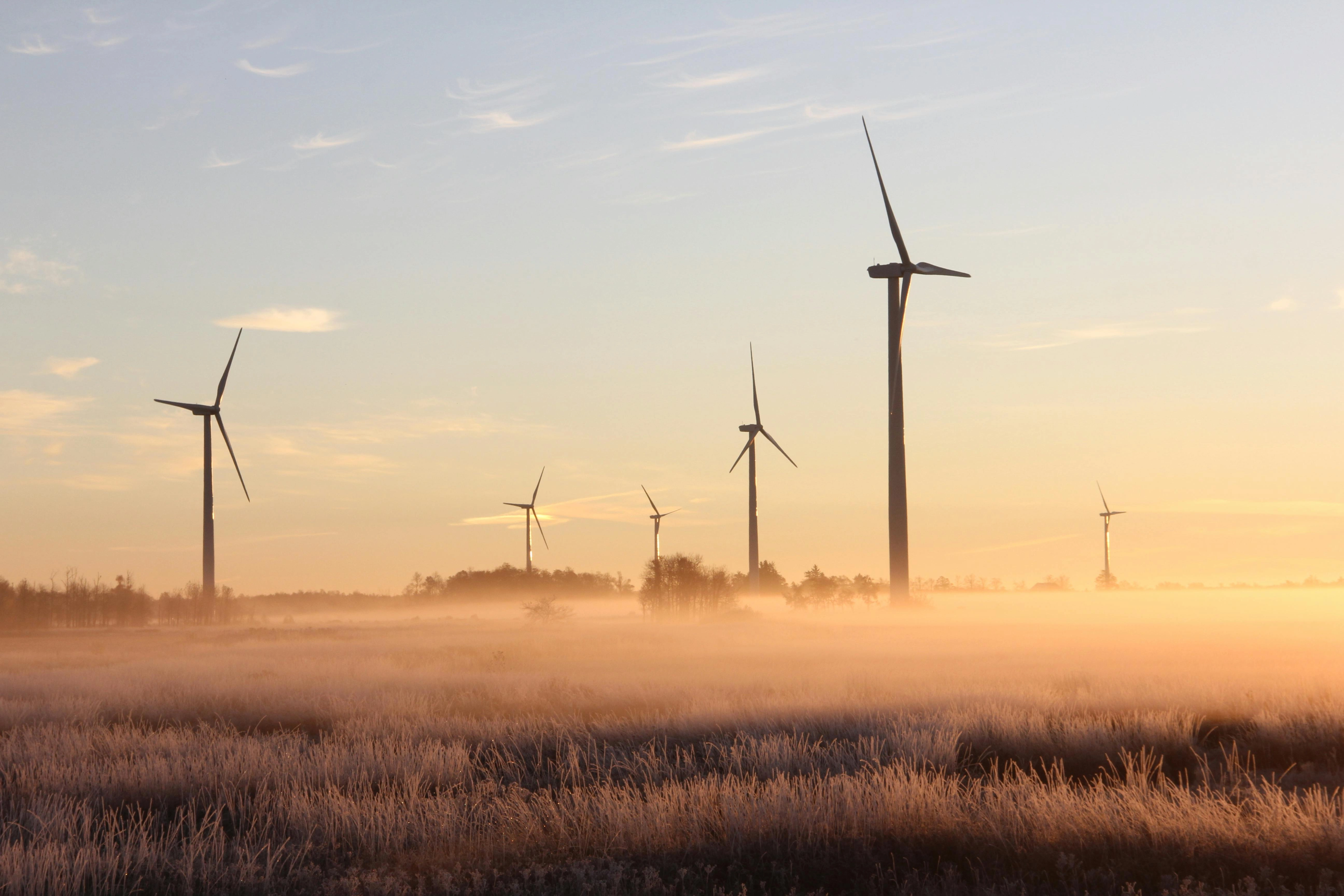Misty Wind Farm Sunrise Misty Wind Farm Sunrise