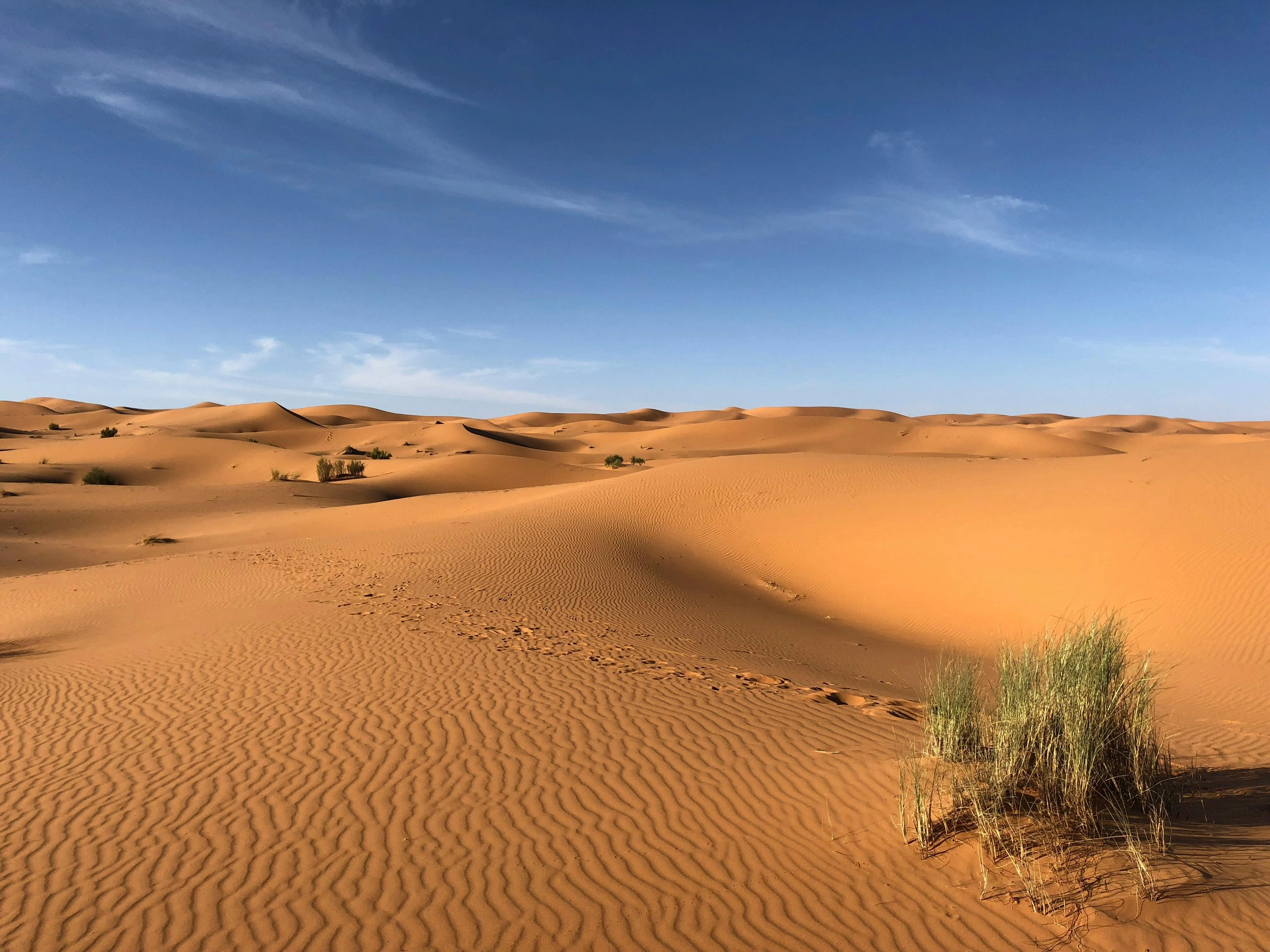 Serene Desert Landscape Panorama