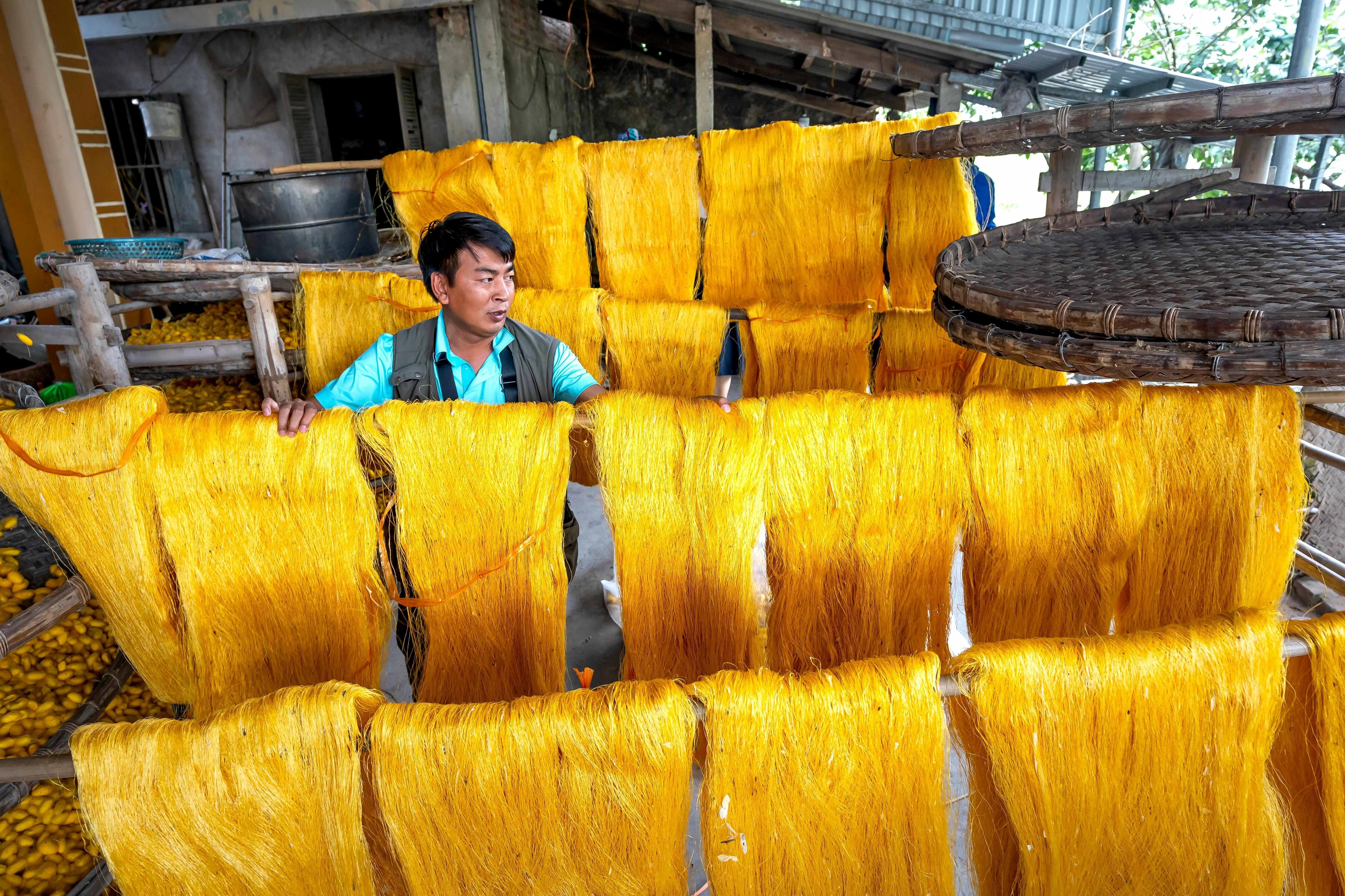 Silk Drying in Sunlight Silk Drying in Sunlight