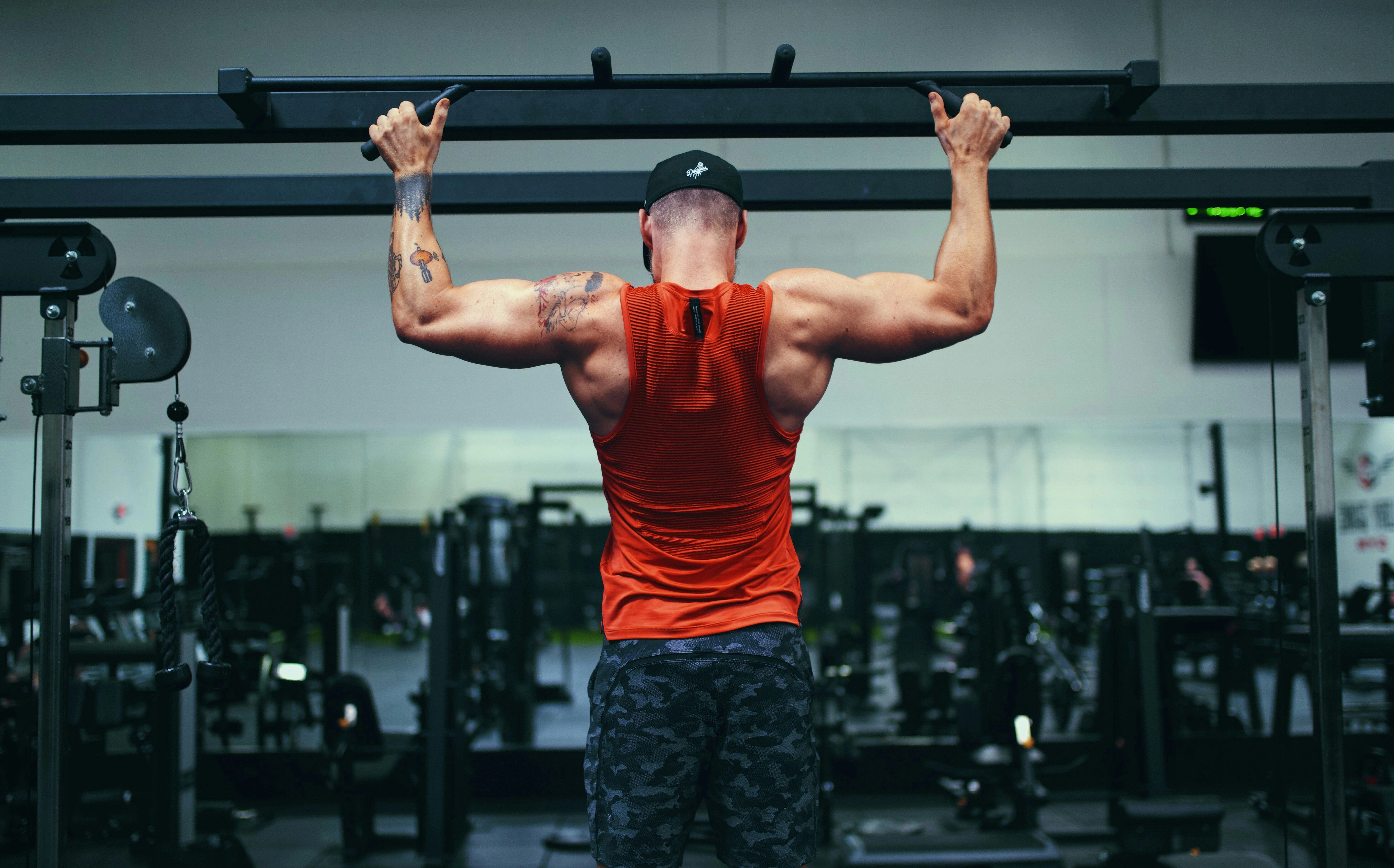 Muscular Workout at Gym Muscular Workout at Gym