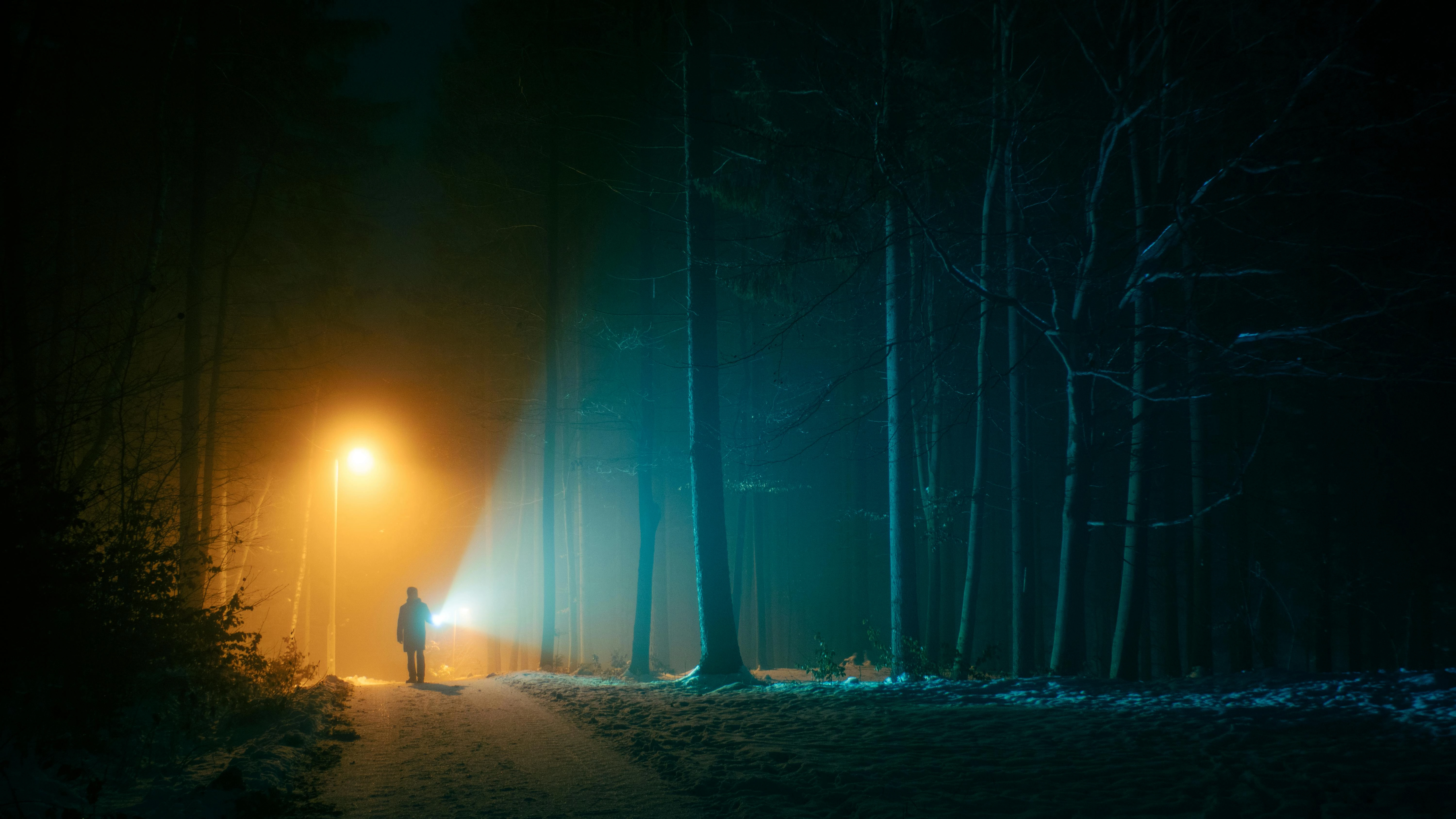 Mysterious Nocturnal Forest Path Mysterious Nocturnal Forest Path