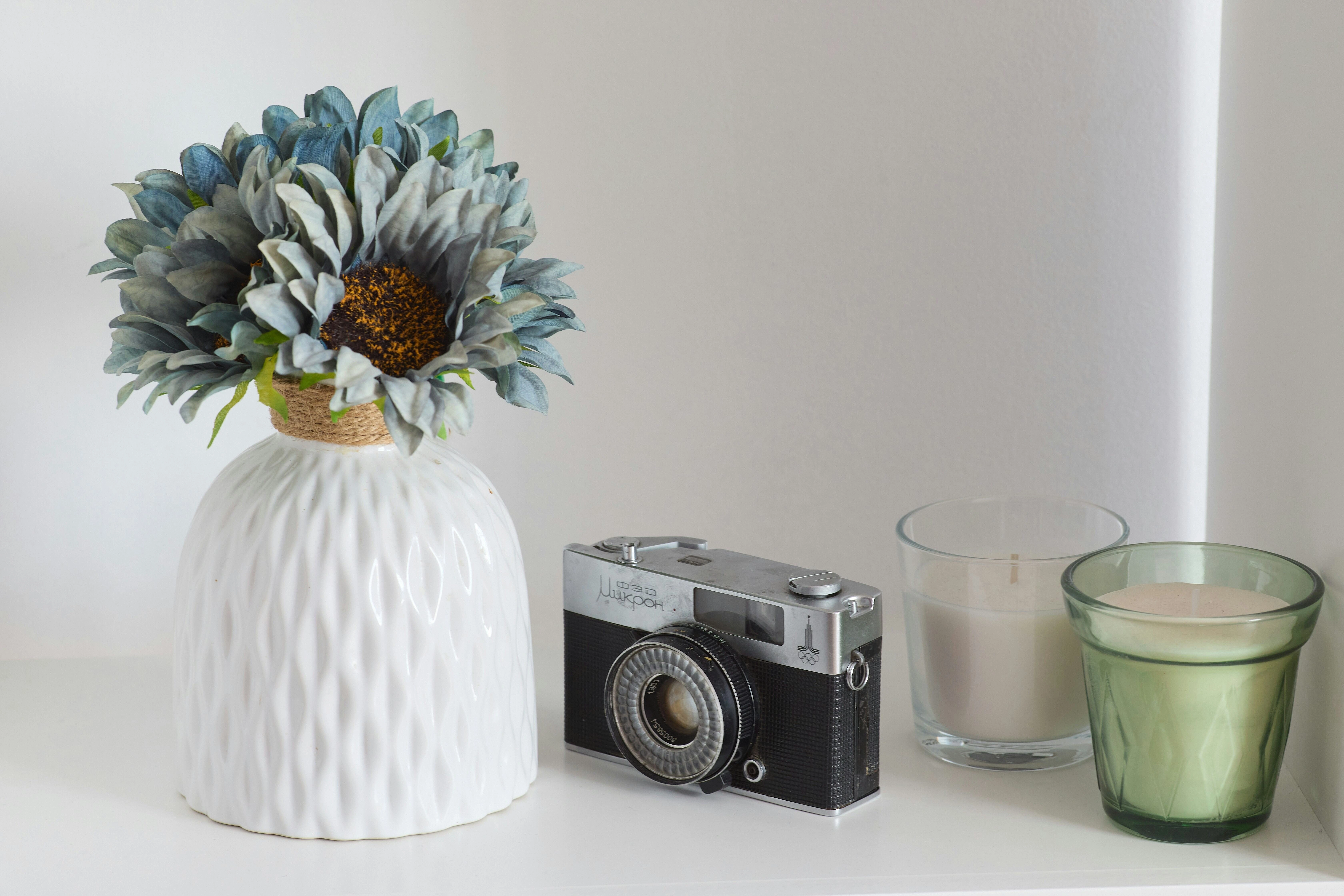 Vintage Camera and Floral Decor