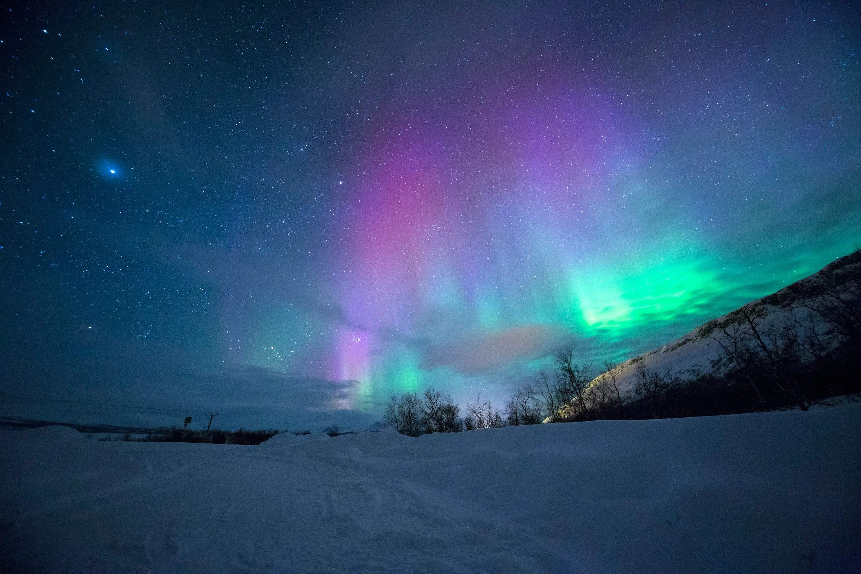Aurora Borealis Color Palette, Combinations & Schemes