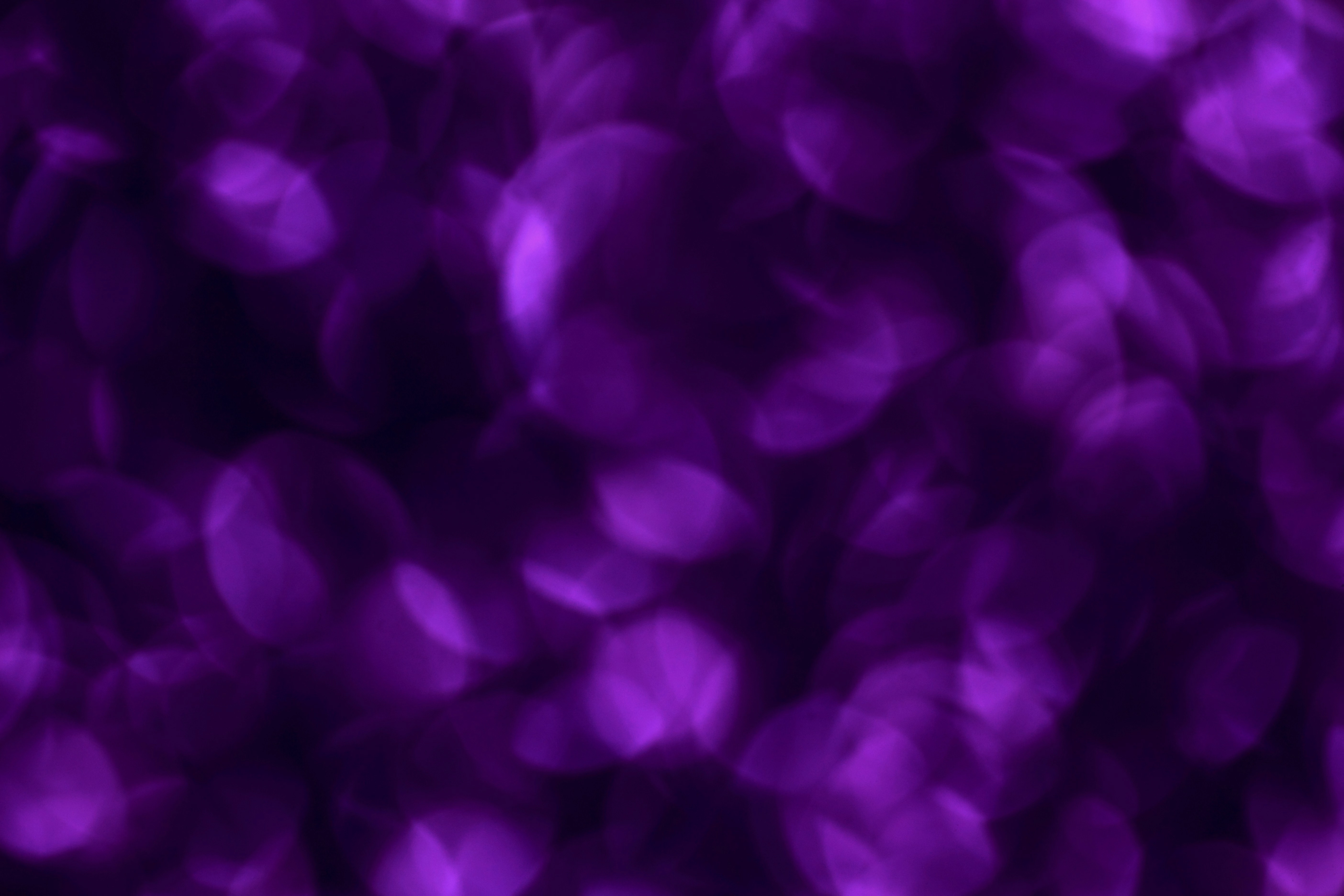 Mystical Purple Bokeh Background