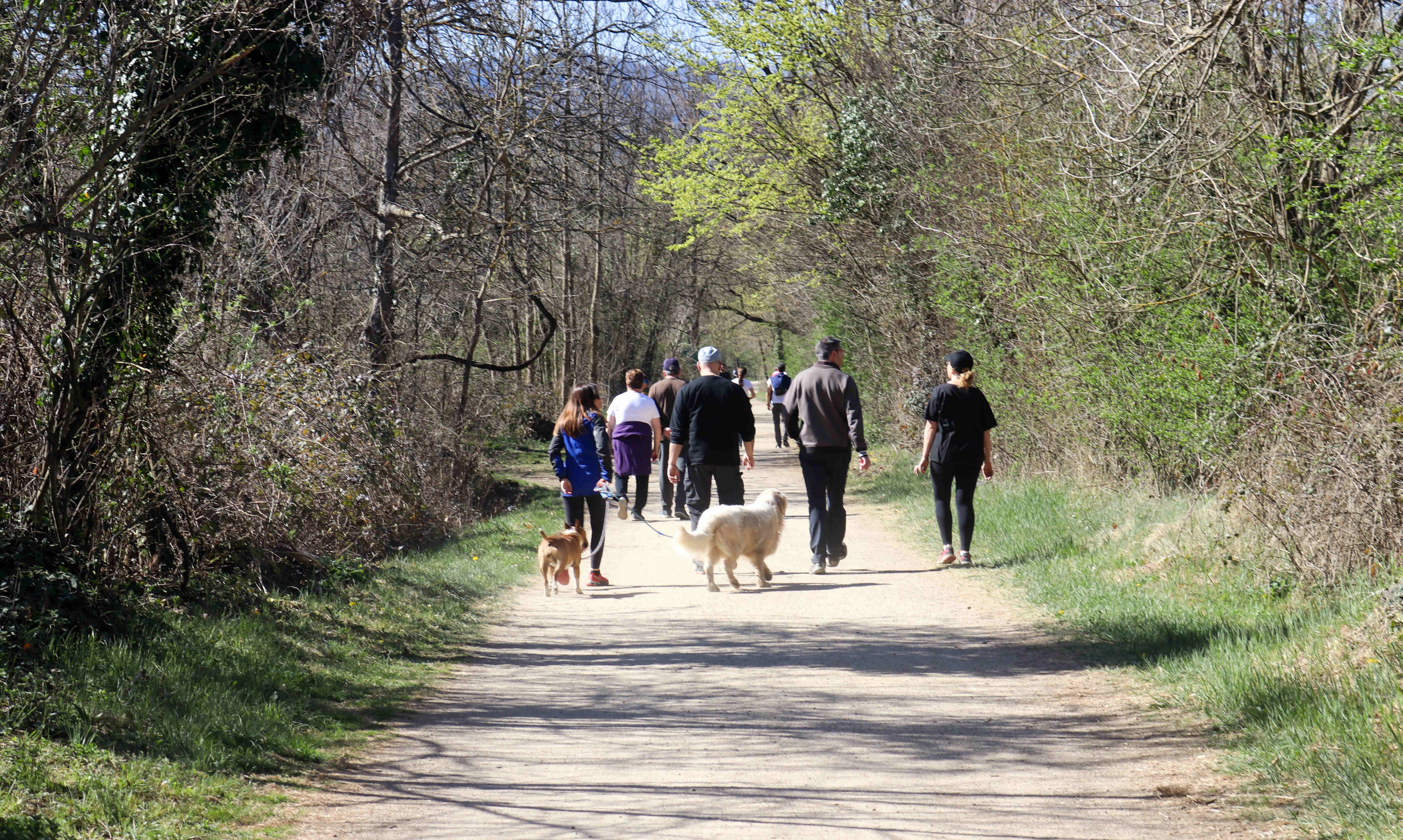 Parc de Pedra Tosca, Les Preses, La Garrotxa, Girona, España Parc de Pedra Tosca, Les Preses, La Garrotxa, Girona, España
