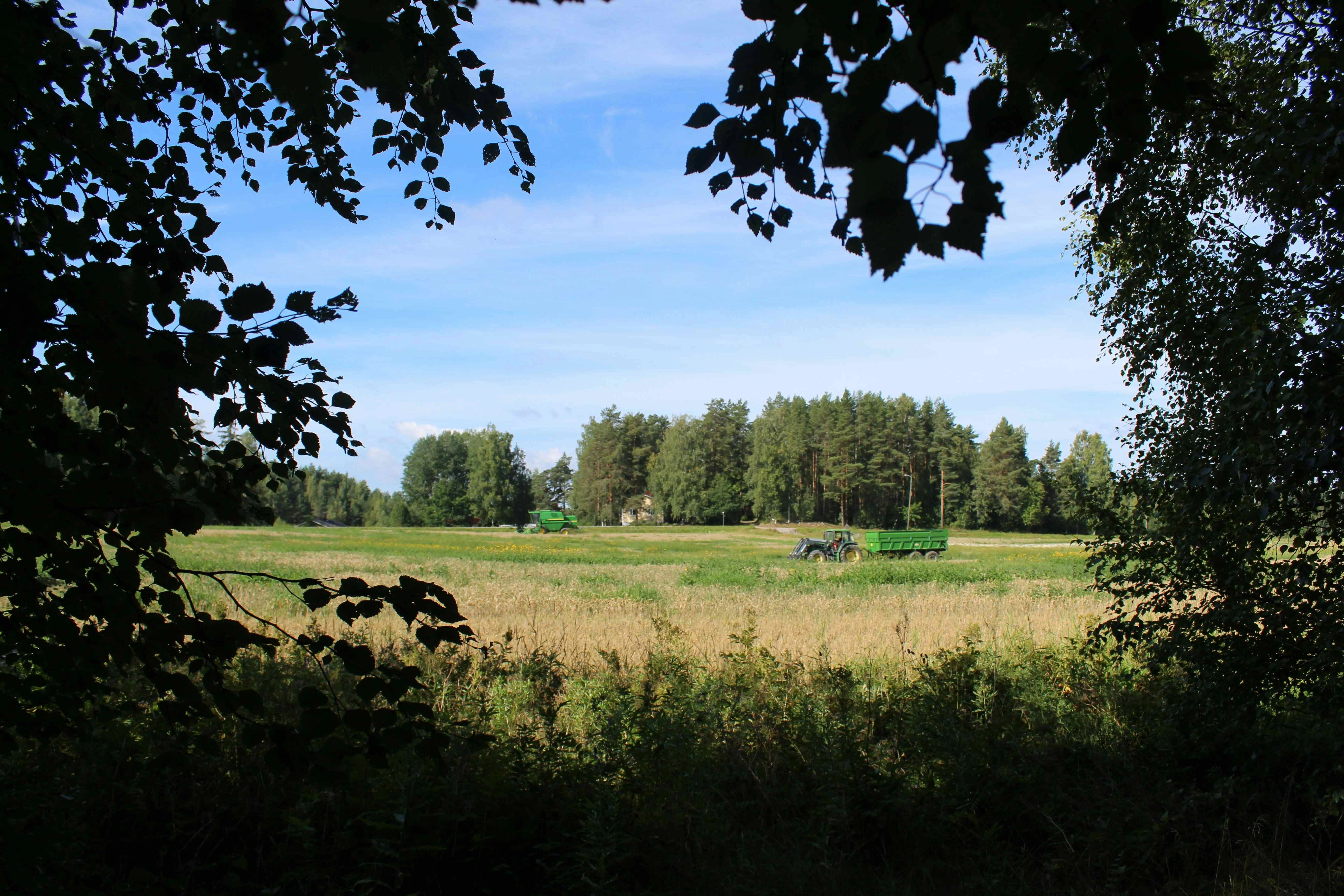 Rural Farmland Harvest Scene Rural Farmland Harvest Scene