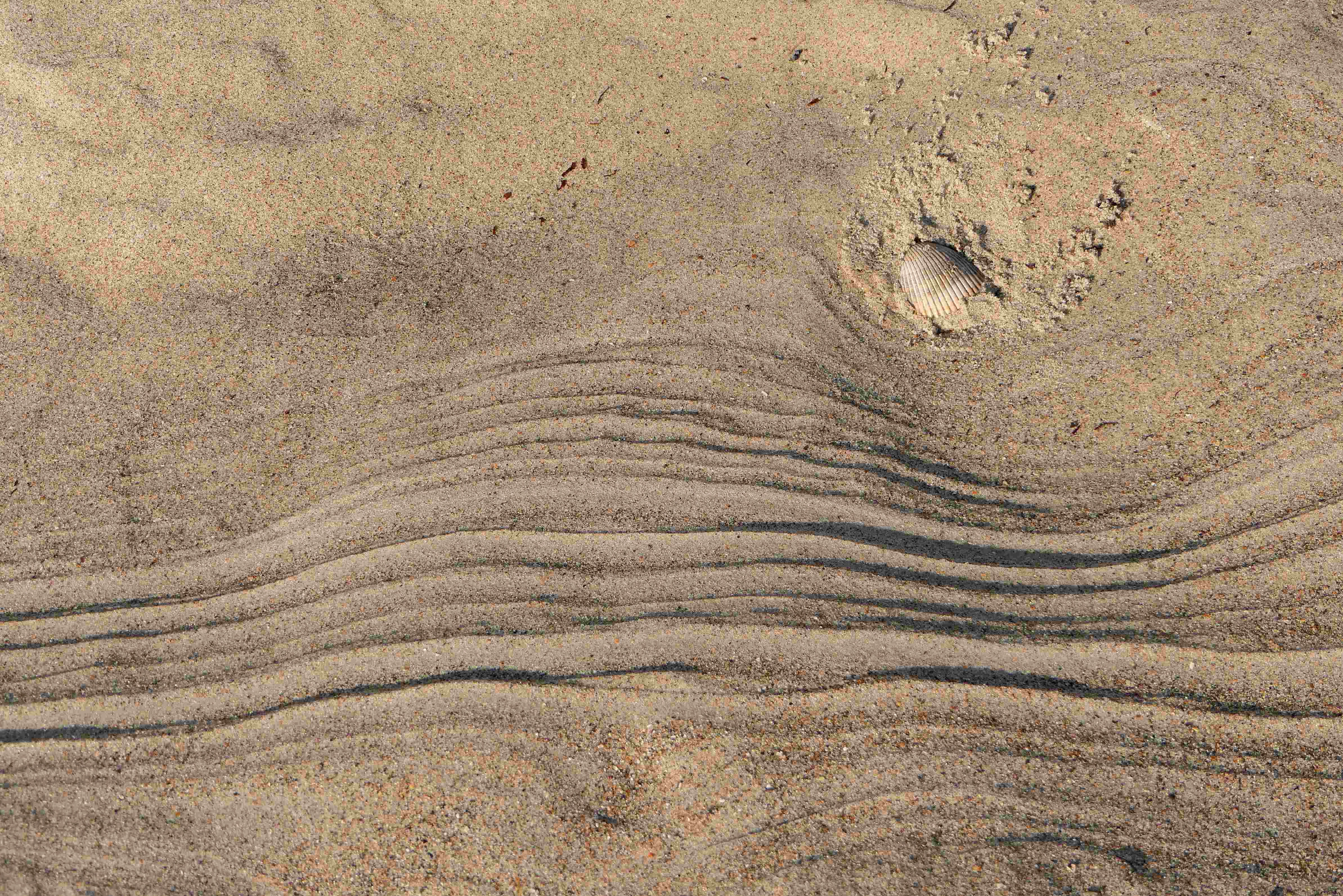 Octed Pattern Sandy beach Color Palette, Combinations & Schemes | Octet Design Labs