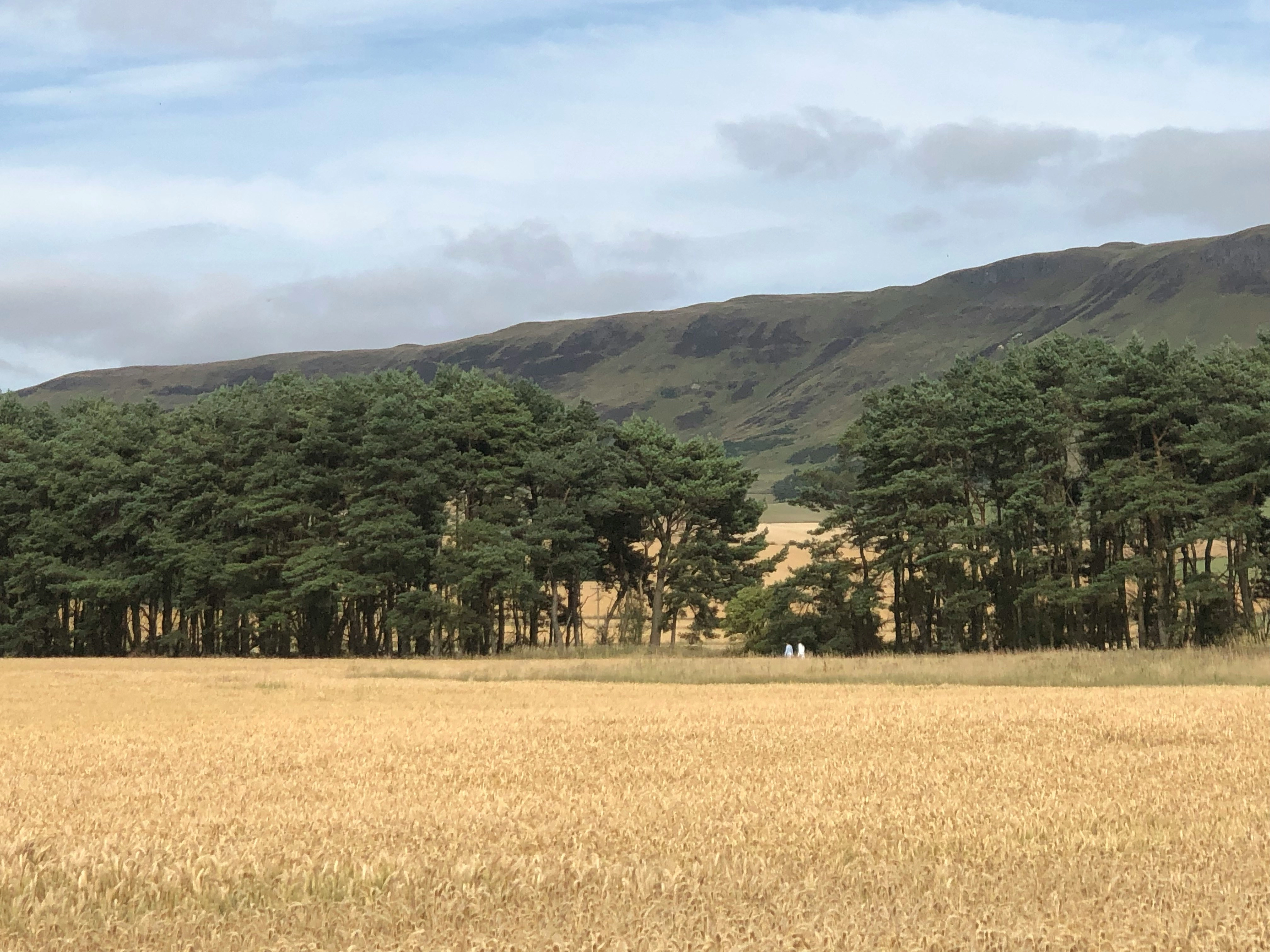Pastoral Landscape with Mountains