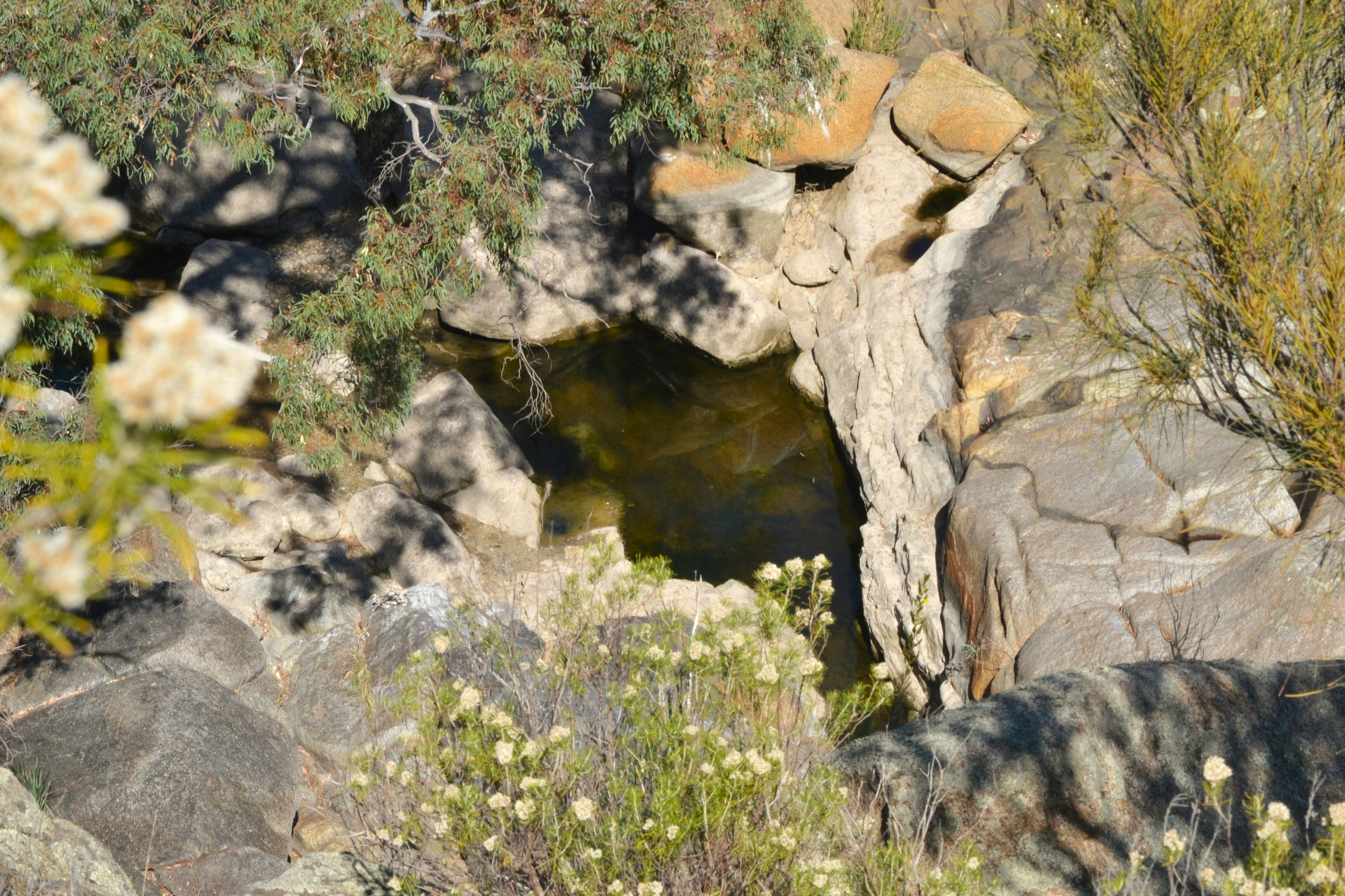 Rocky Desert Oasis Pool Rocky Desert Oasis Pool