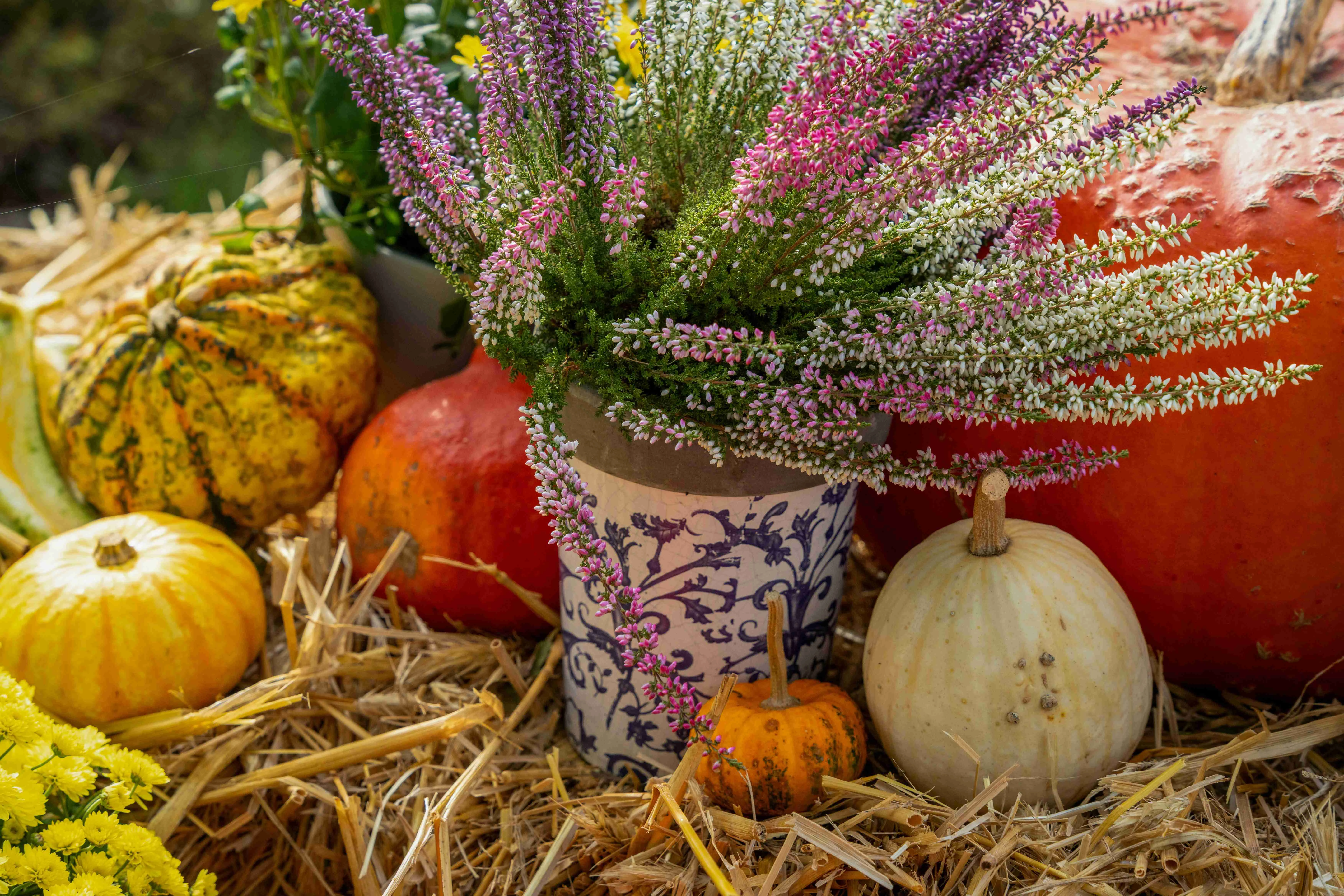 Autumn Floral Pumpkin Display Autumn Floral Pumpkin Display