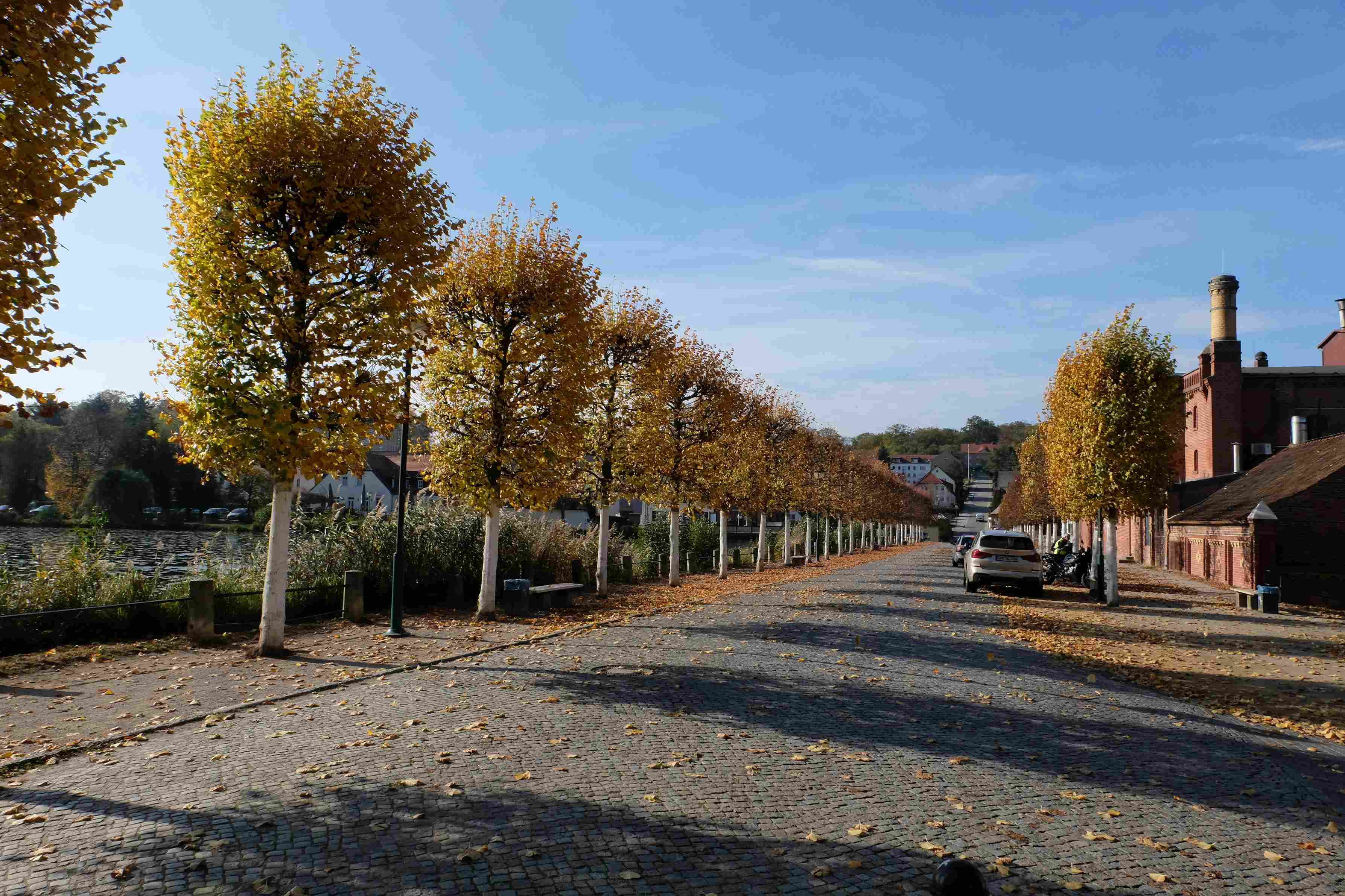 Autumn Riverside Cobblestone Street Autumn Riverside Cobblestone Street