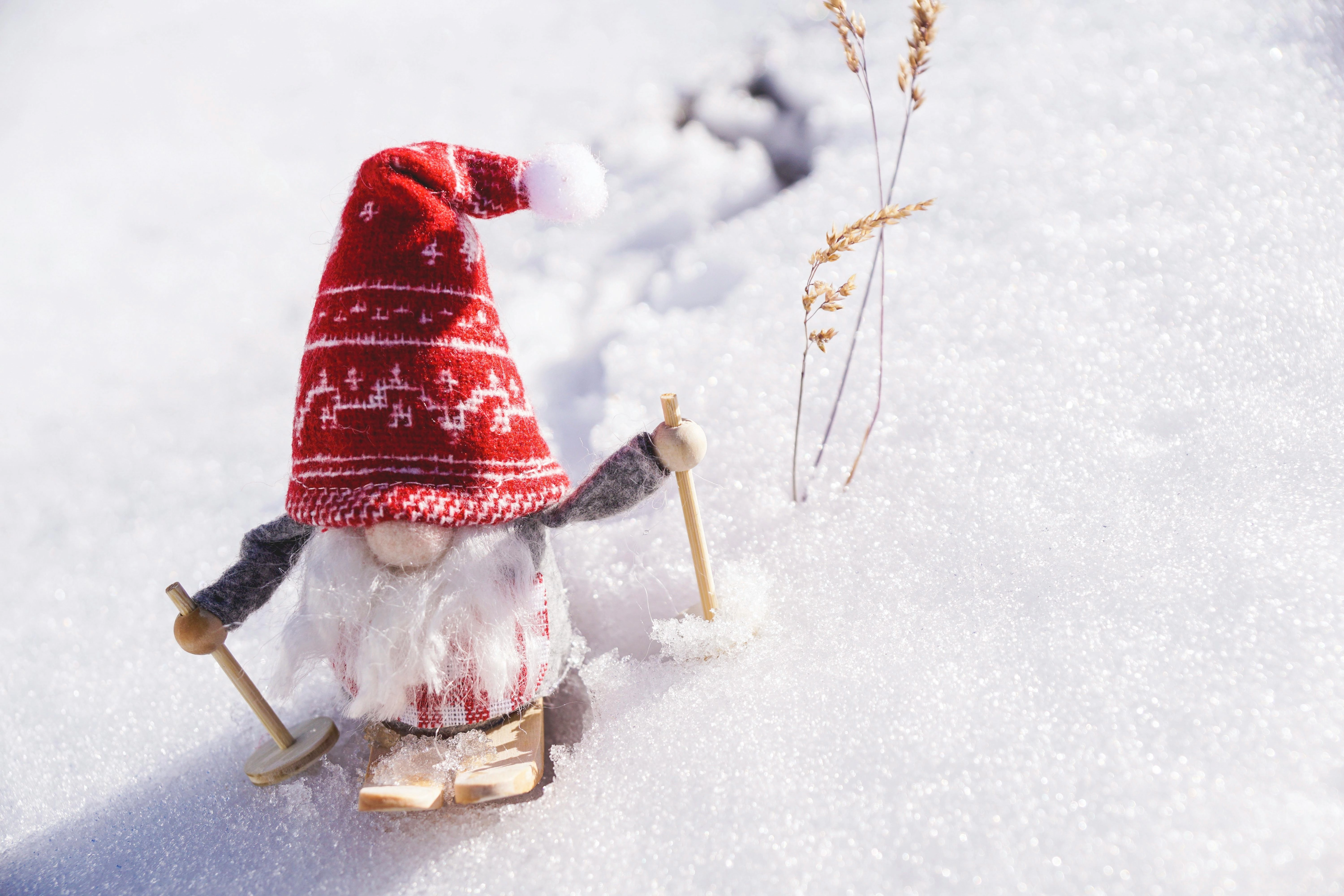 Festive Gnome in Snow Festive Gnome in Snow