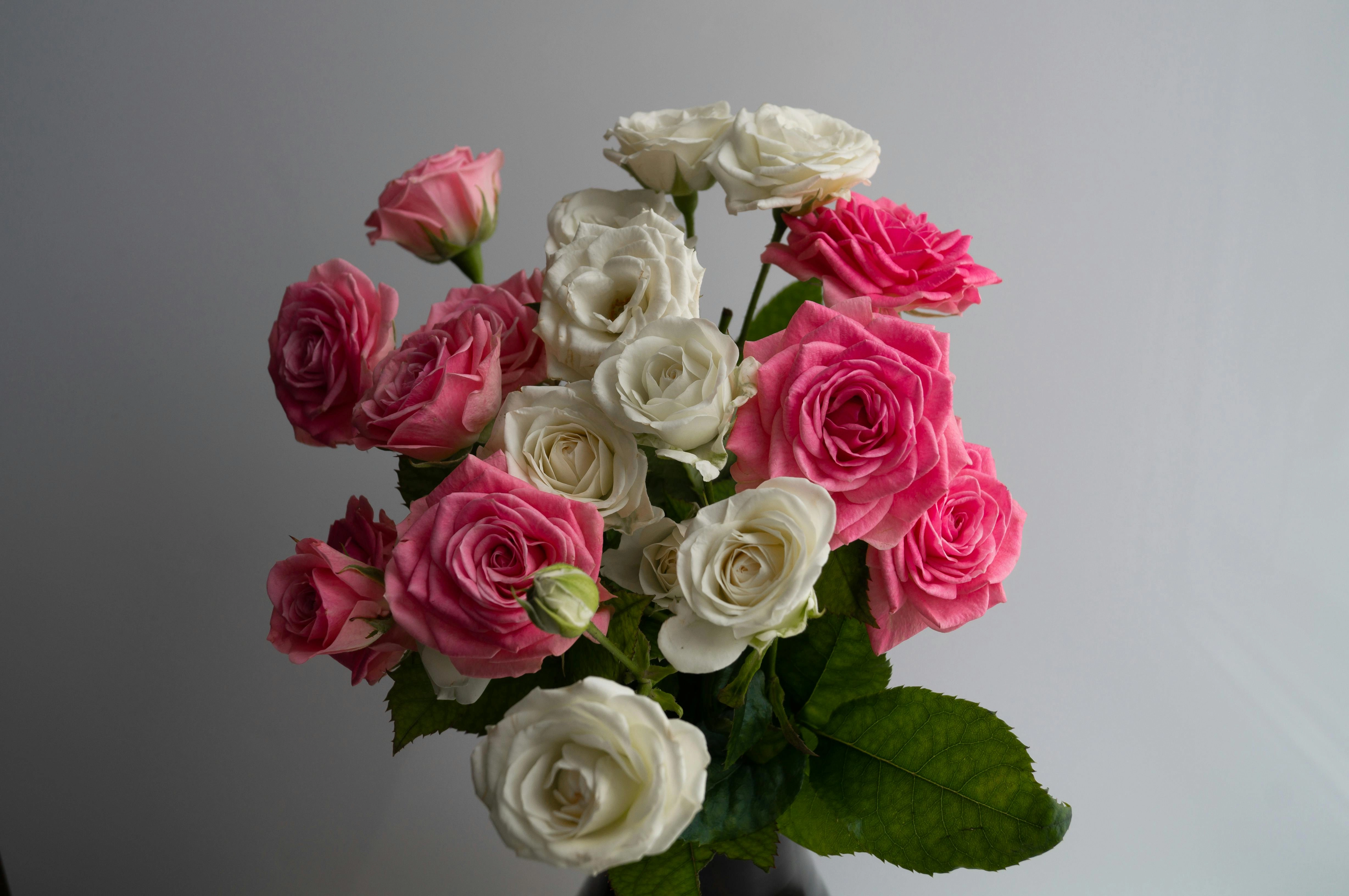 Pink and White Rose Bouquet Pink and White Rose Bouquet