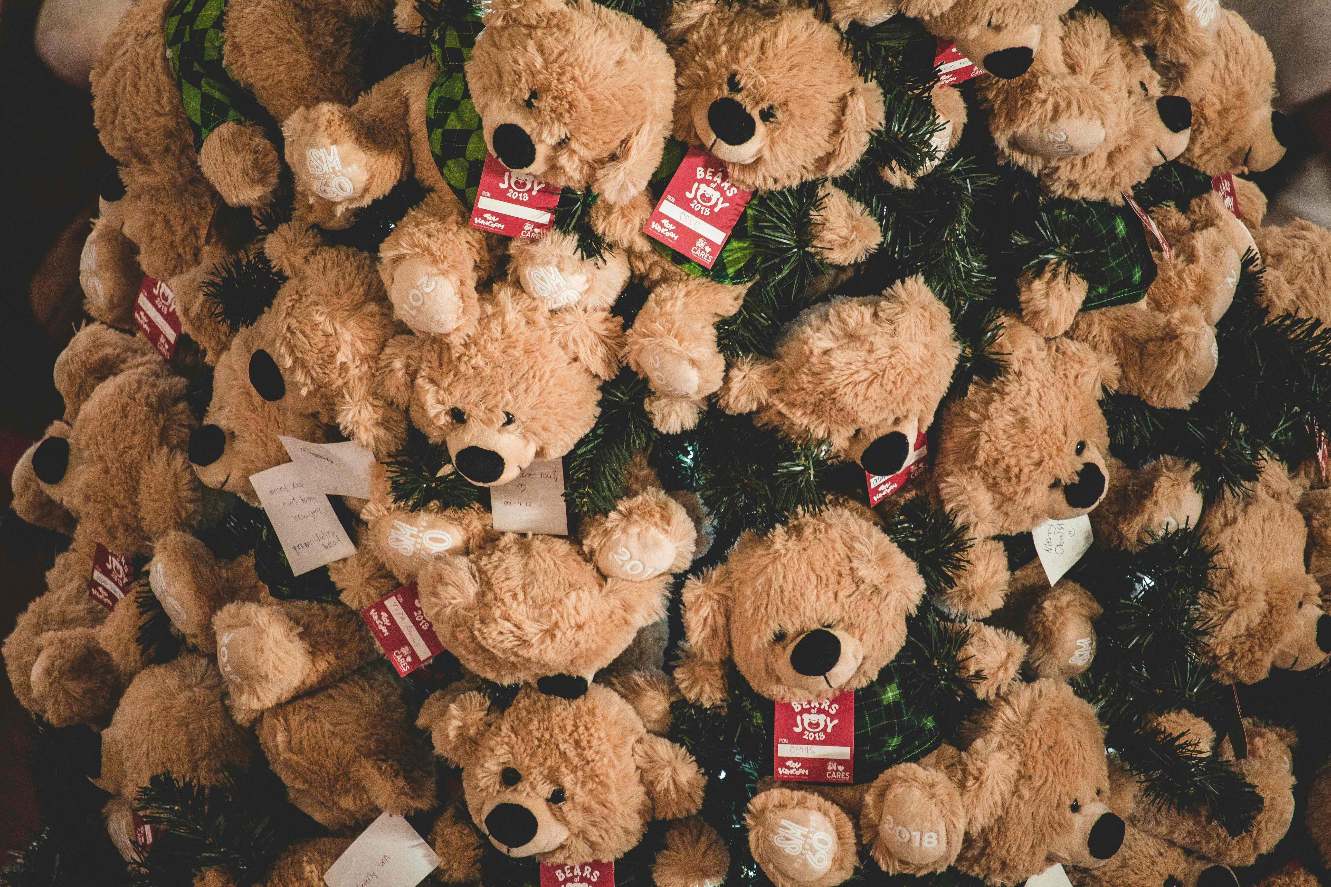 Teddy Bears Christmas Charity Teddy Bears Christmas Charity