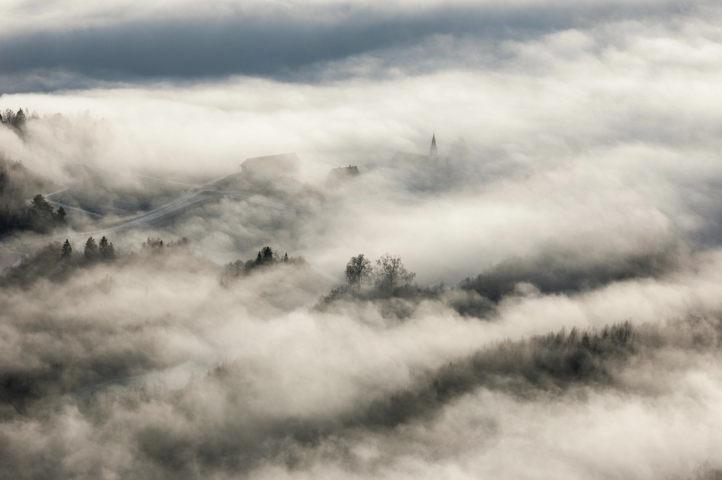 Misty Forest Landscape Vista Misty Forest Landscape Vista