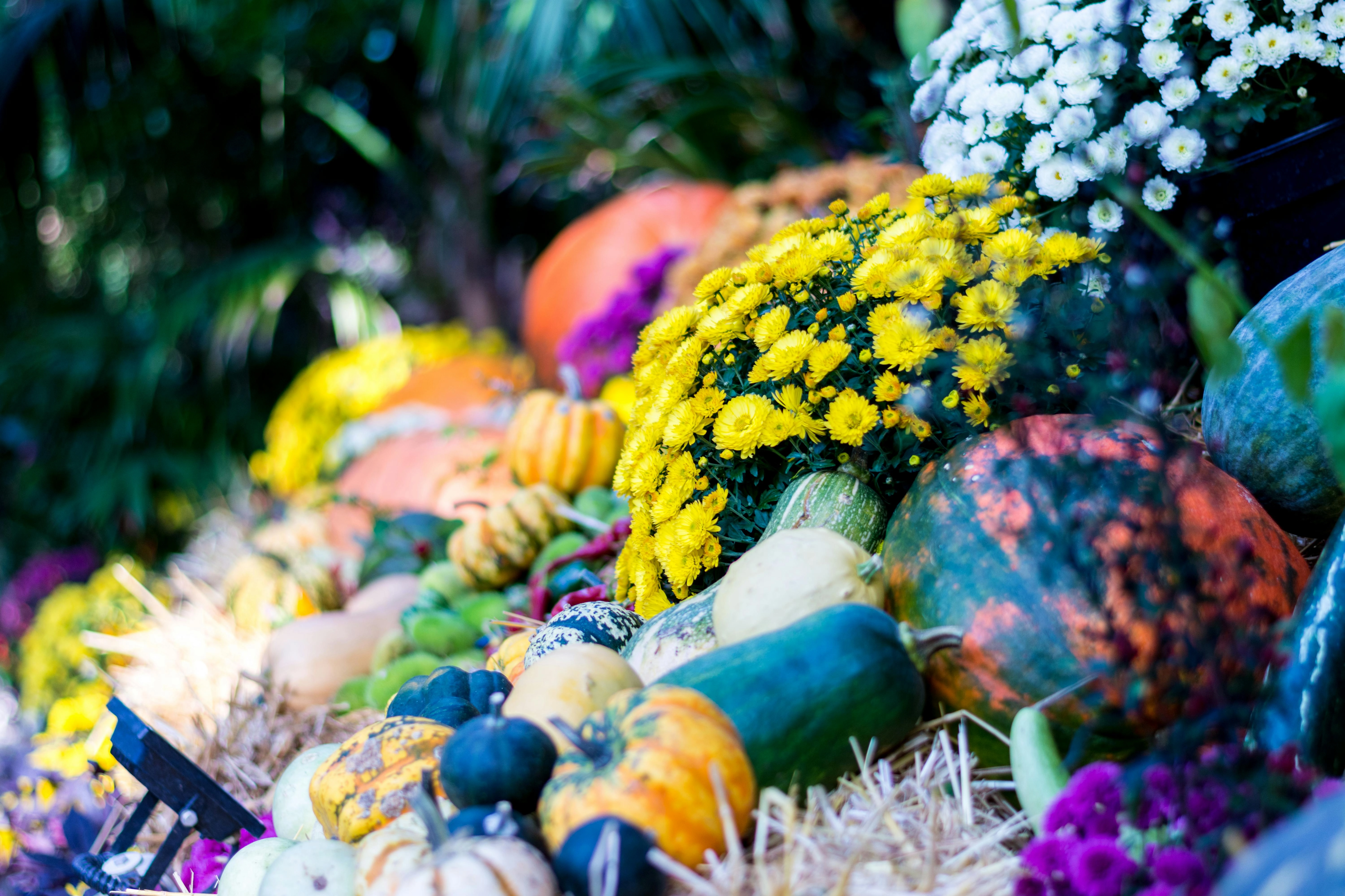 Autumn Harvest Floral Display Autumn Harvest Floral Display