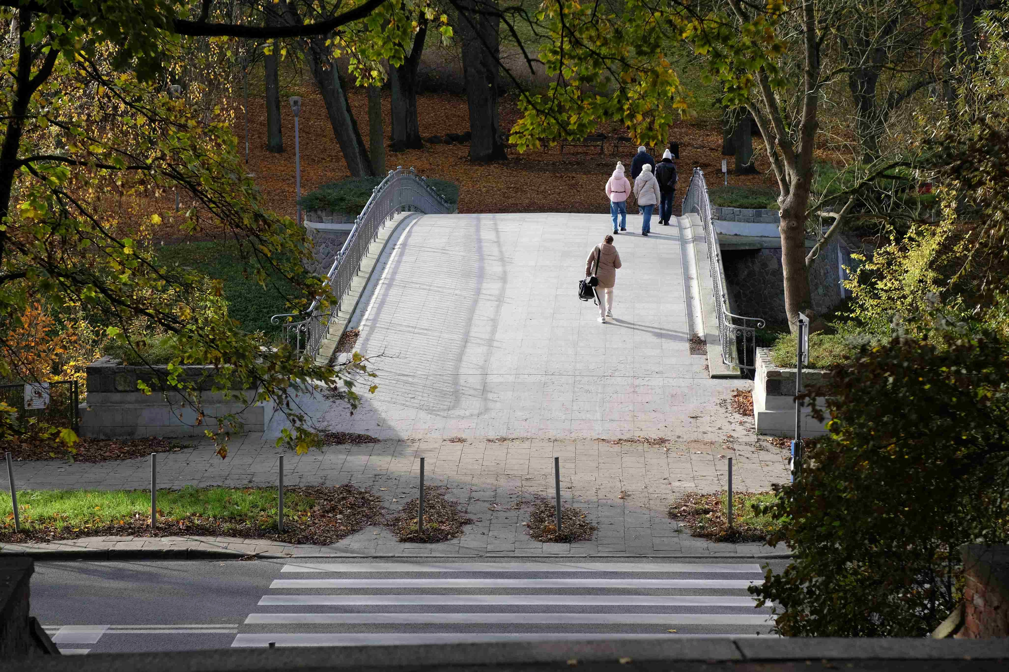Autumn Park Bridge Stroll Autumn Park Bridge Stroll