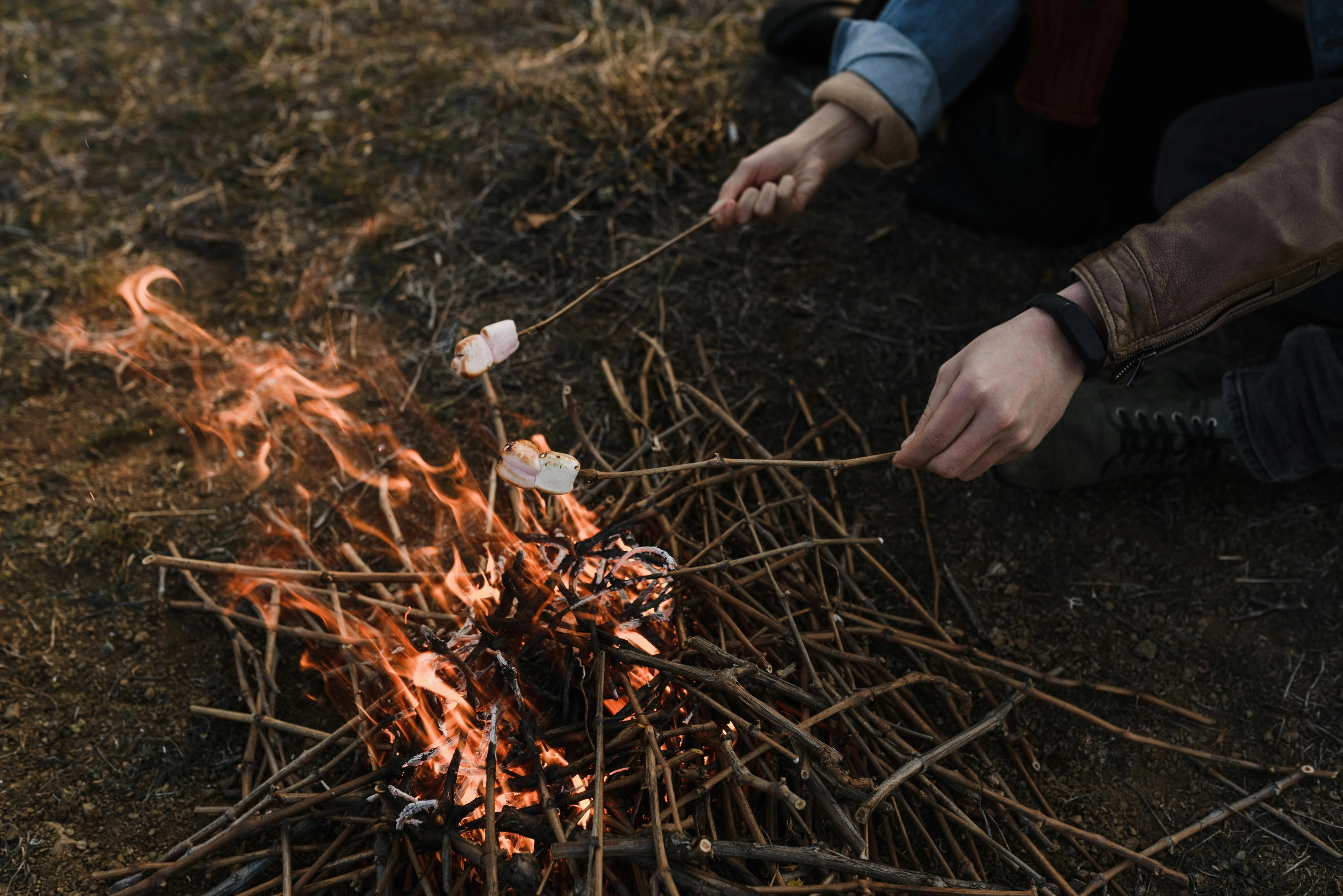 Campfire Marshmallow Roasting Scene