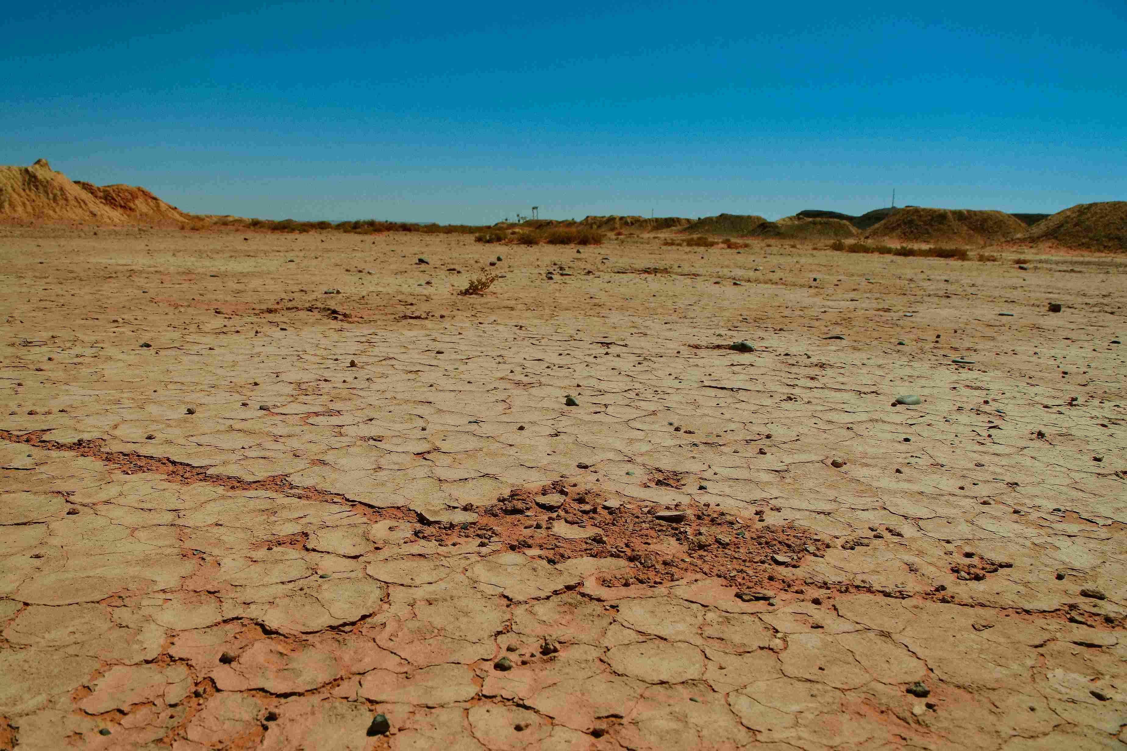 Cracked Desert Wasteland