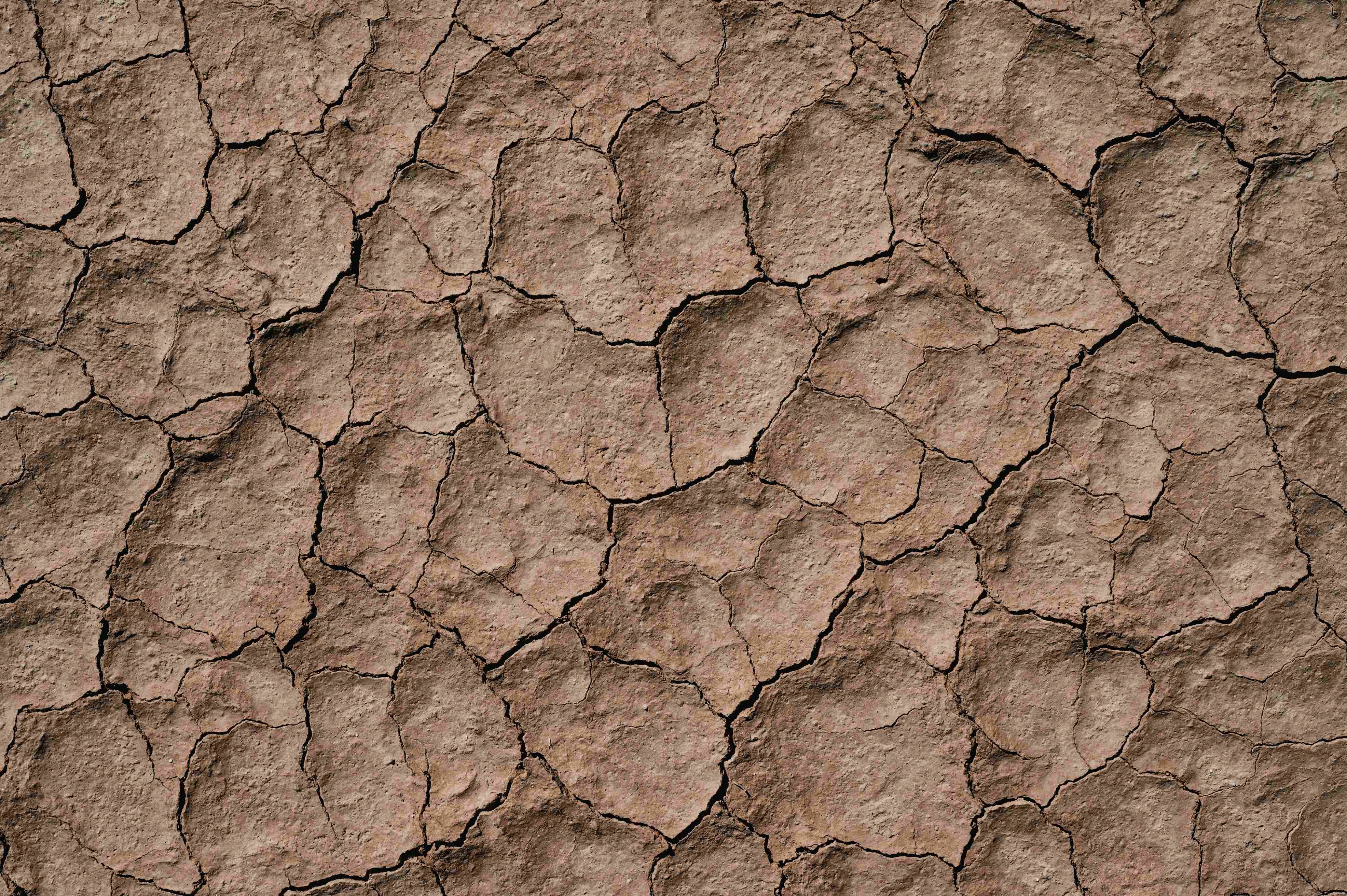 Cracked Dry Earth Texture Cracked Dry Earth Texture