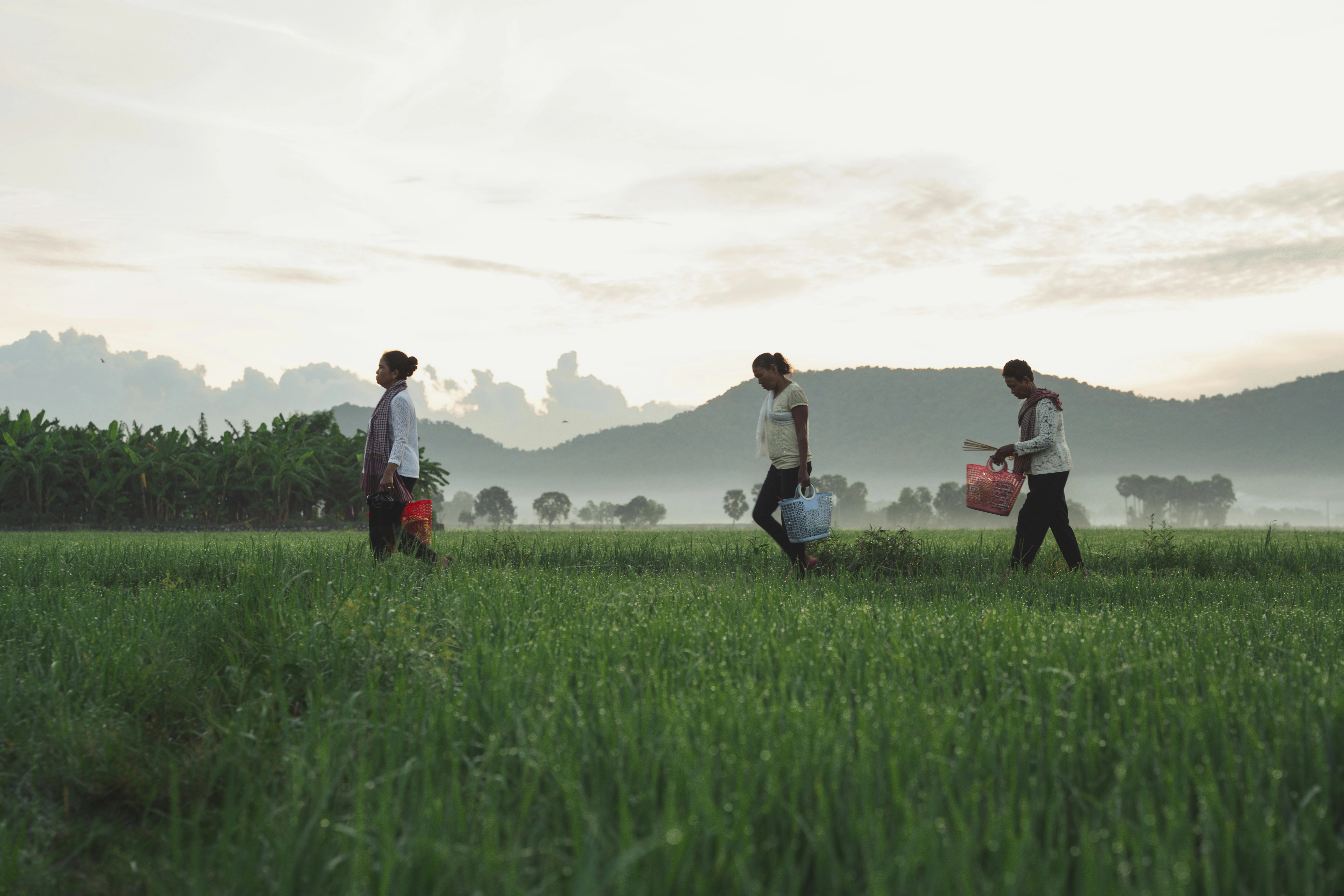 Farm Workers at Dawn Farm Workers at Dawn