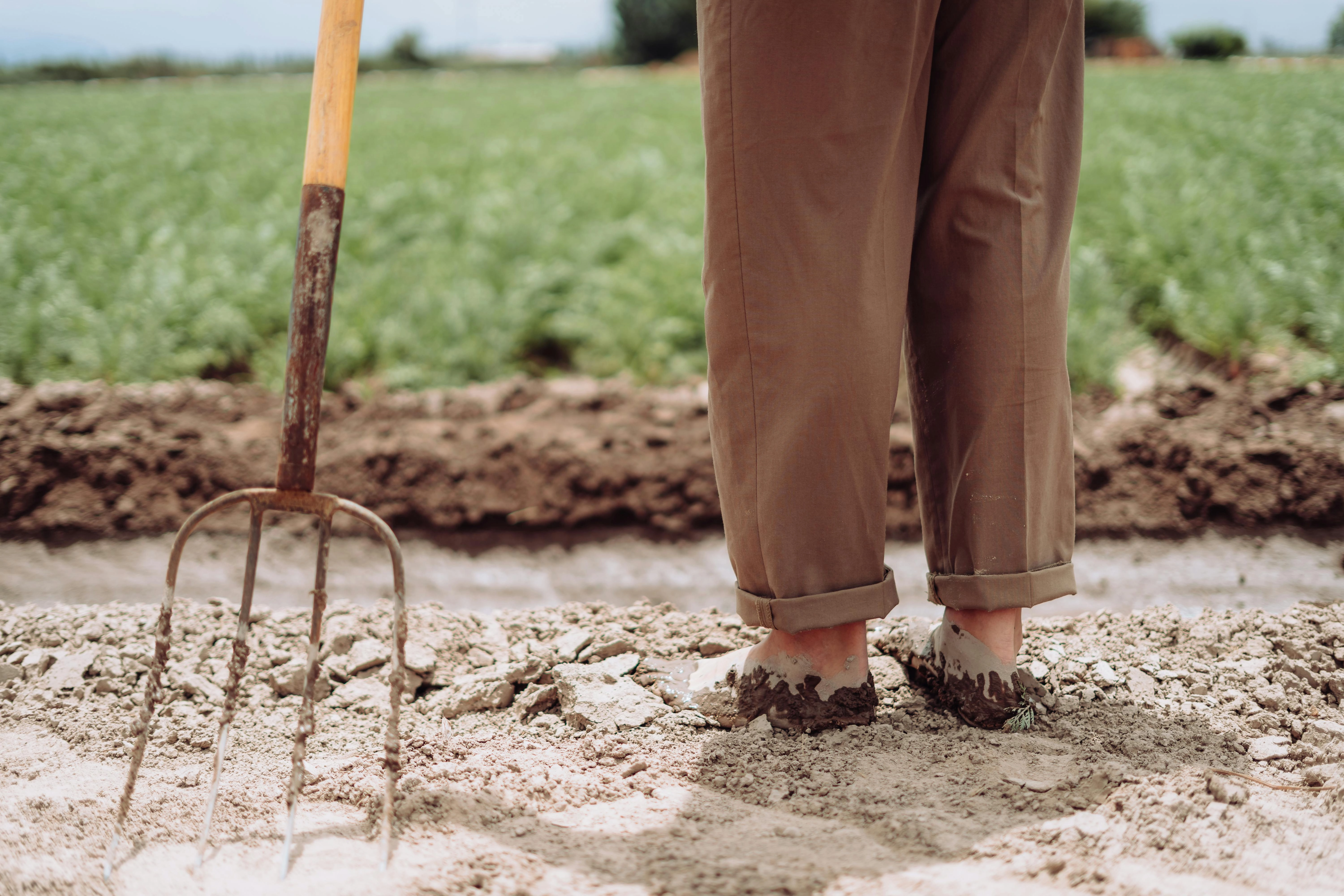 Farmer's feet in field Farmer's feet in field