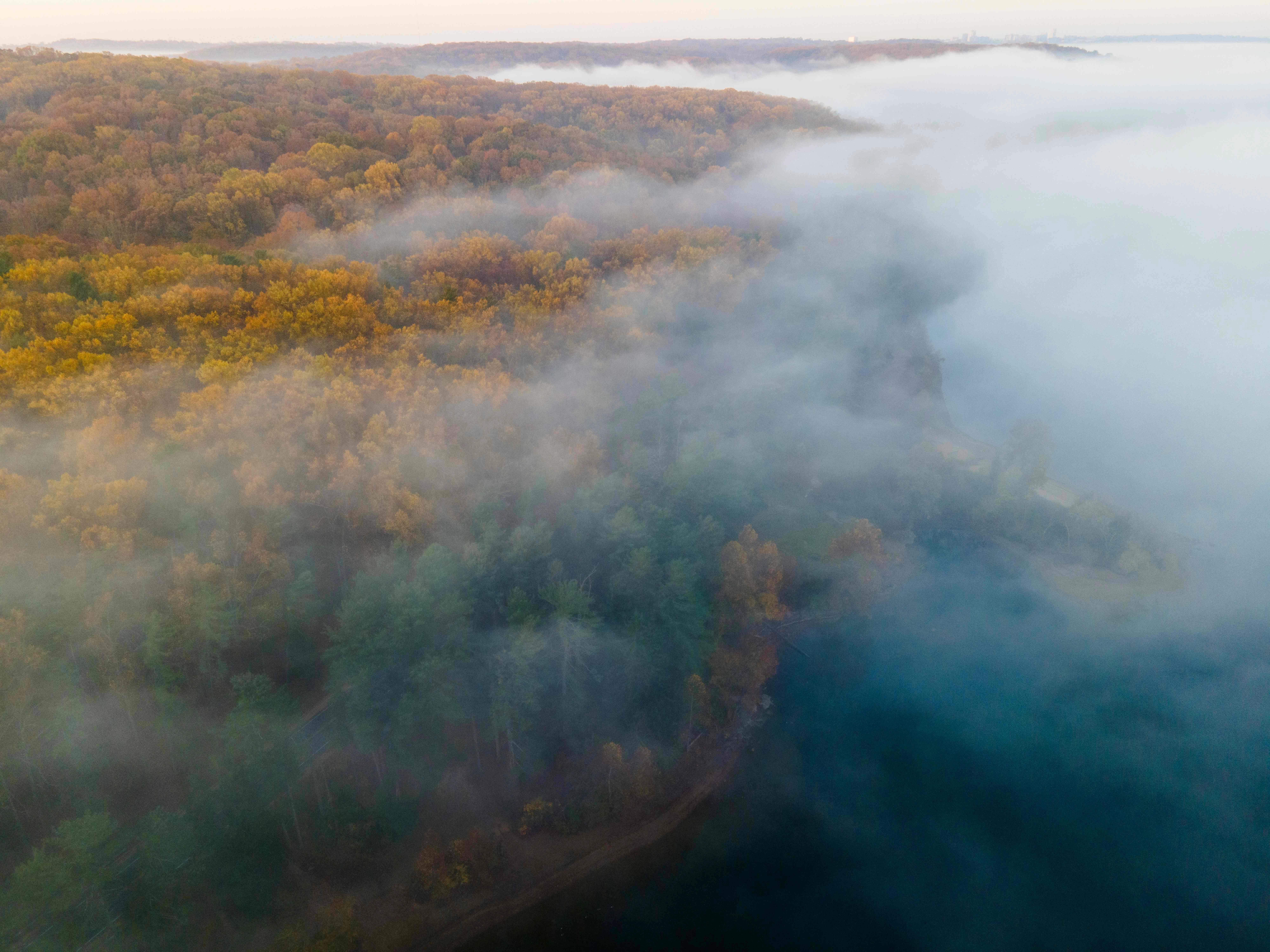 Misty Autumn Forest Aerial Misty Autumn Forest Aerial
