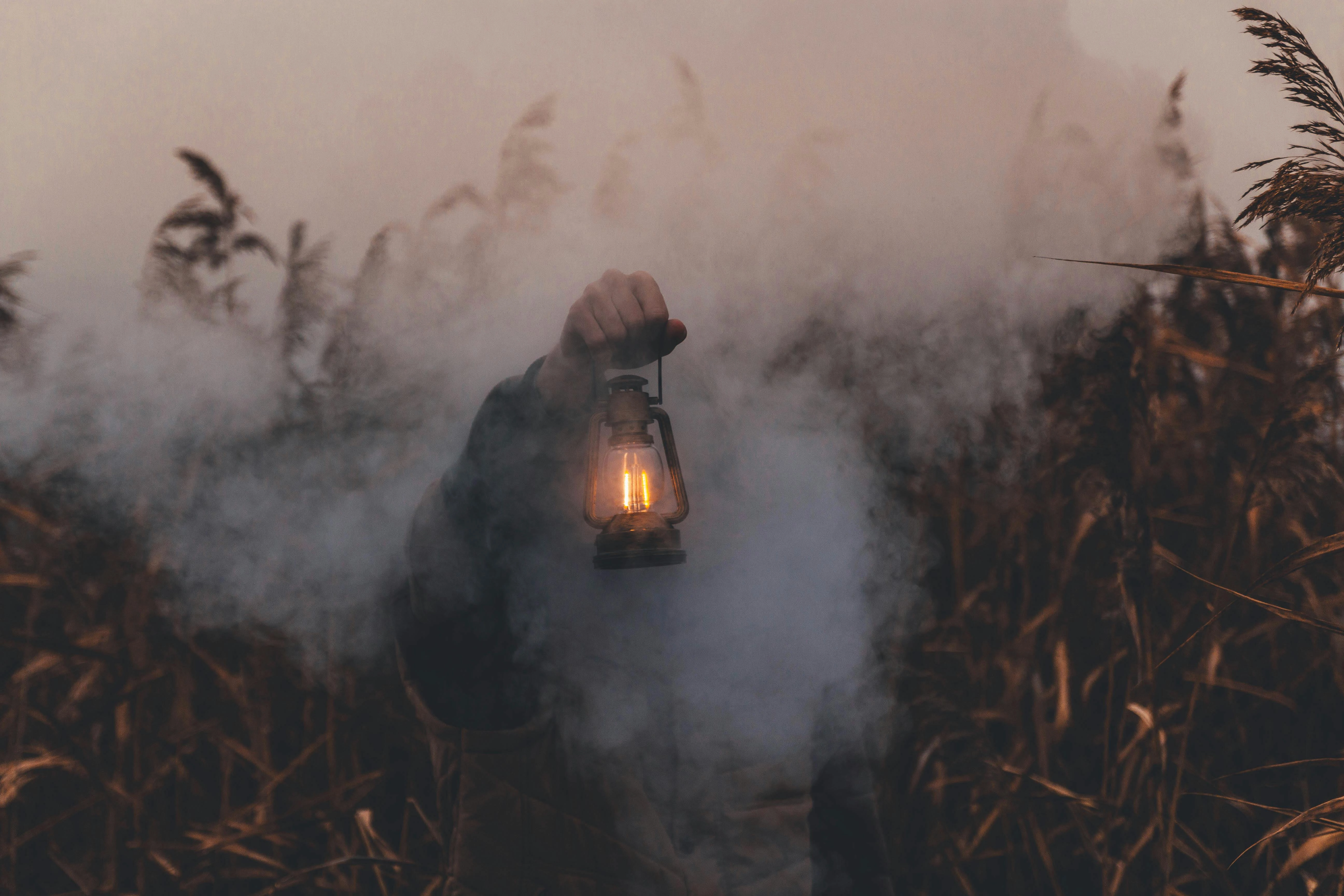 Misty Lantern in Reeds Misty Lantern in Reeds