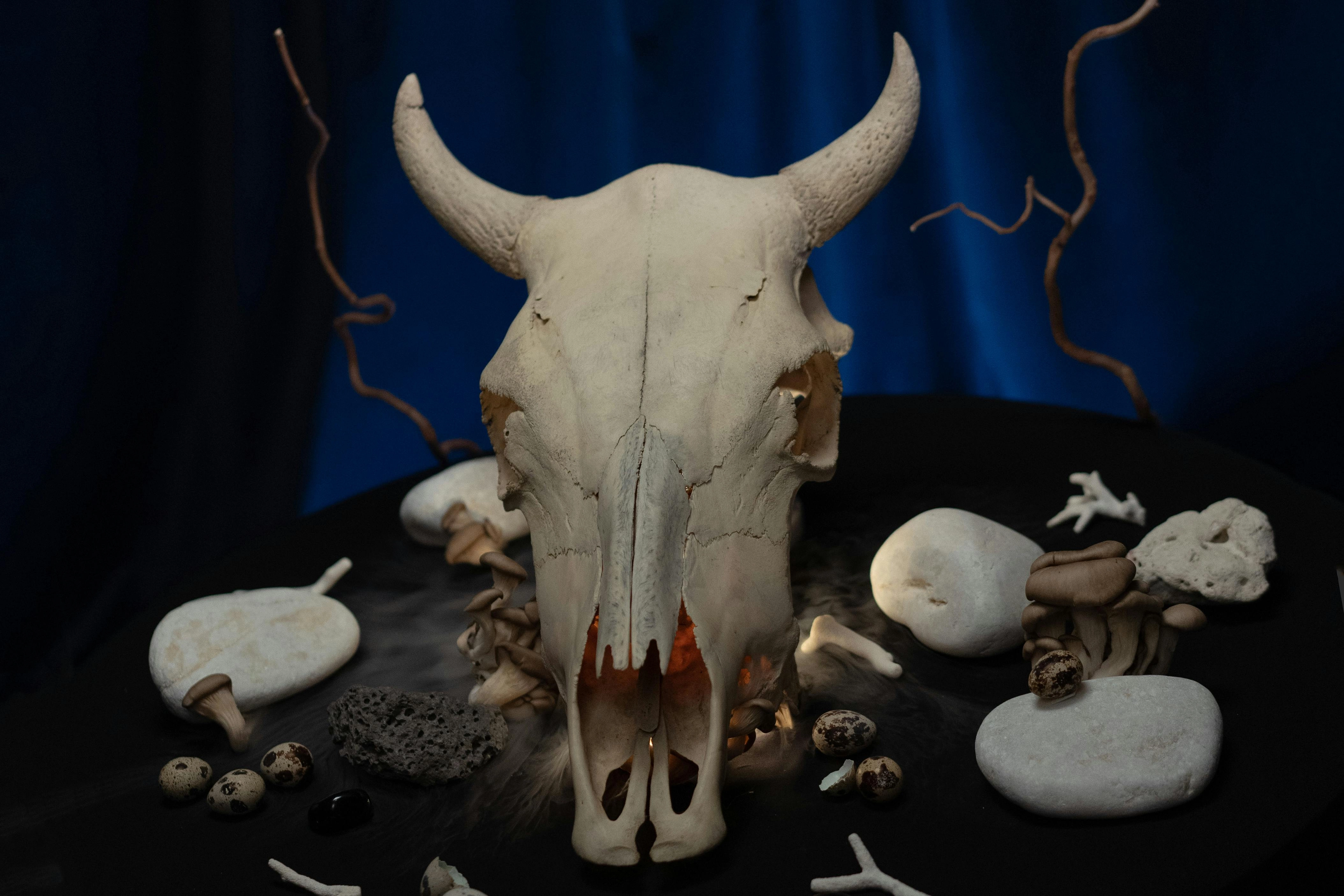 Mystic Skull Nature Altar Mystic Skull Nature Altar