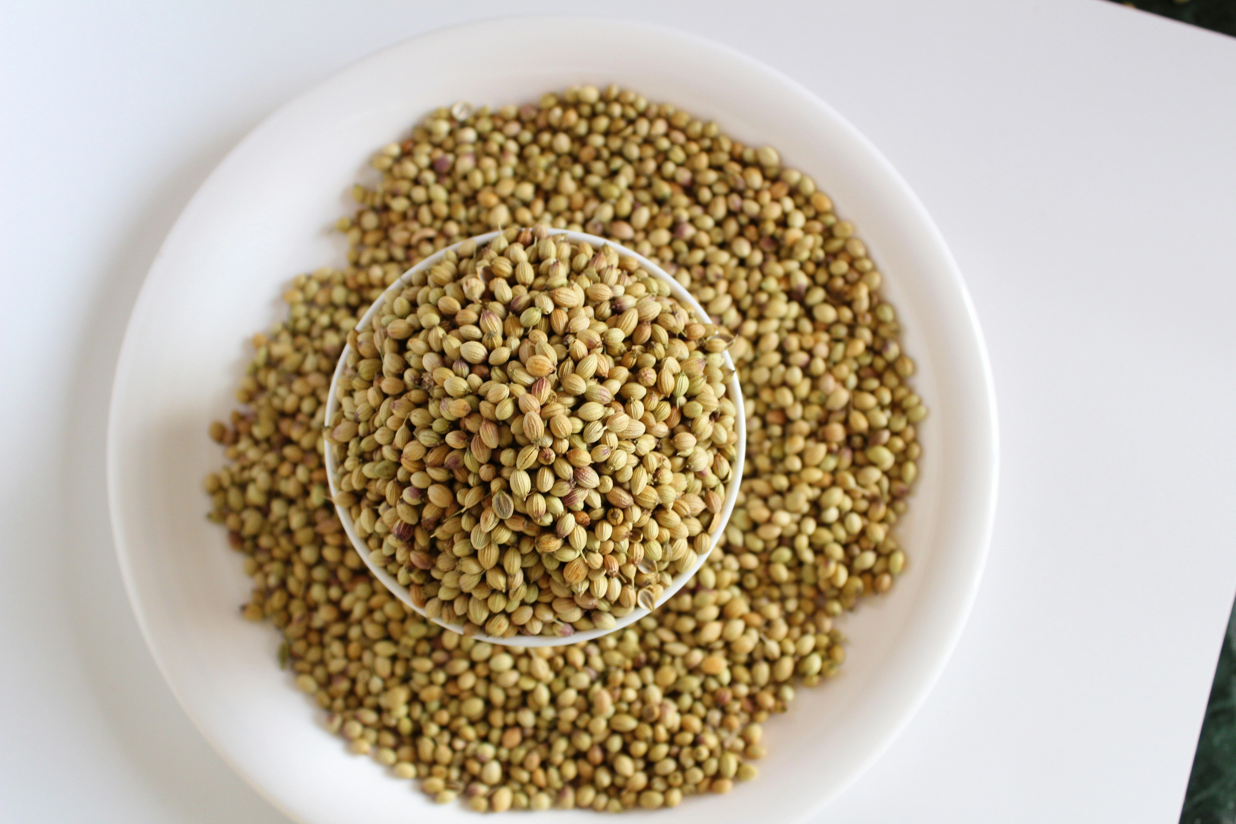 Coriander Seeds on Plate