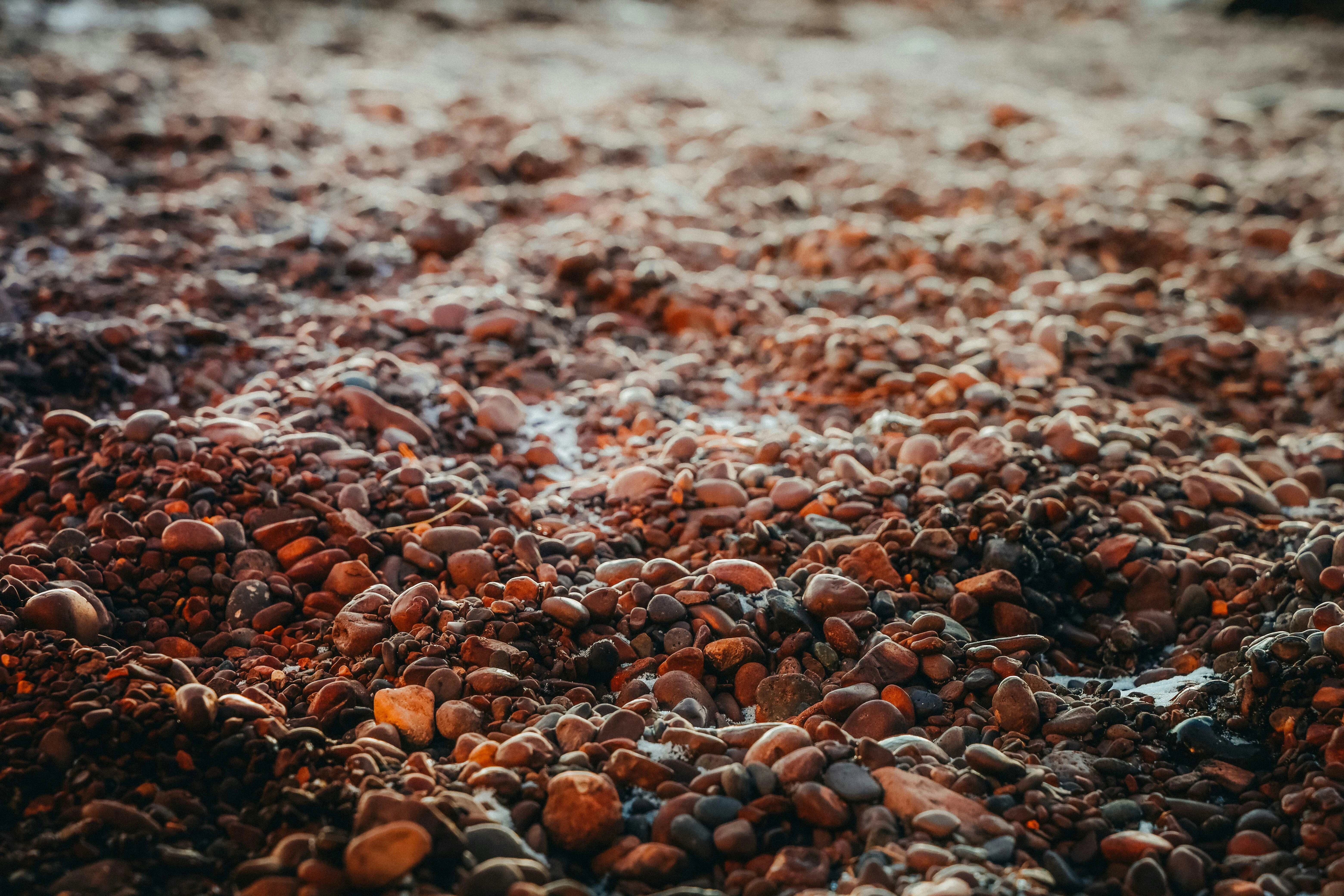 Textured Rocky Beach Shoreline Textured Rocky Beach Shoreline
