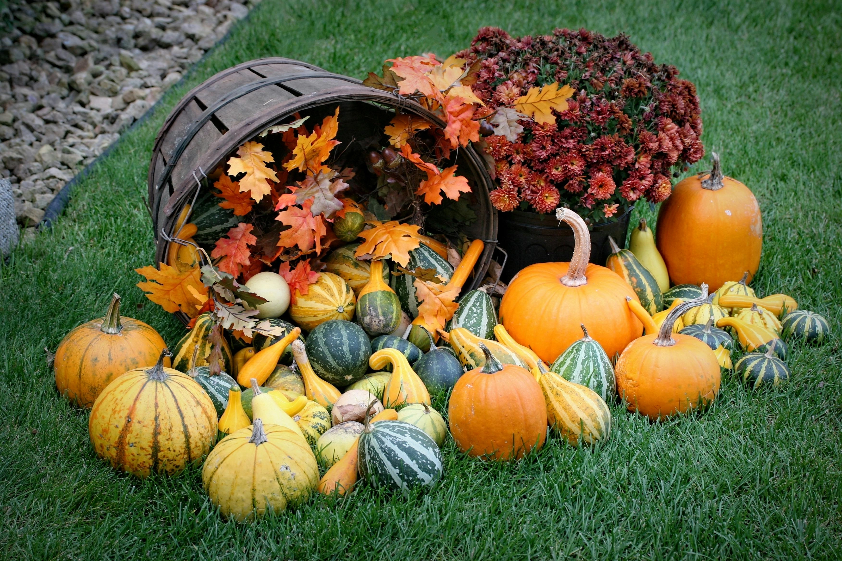 Autumn Harvest Display Autumn Harvest Display